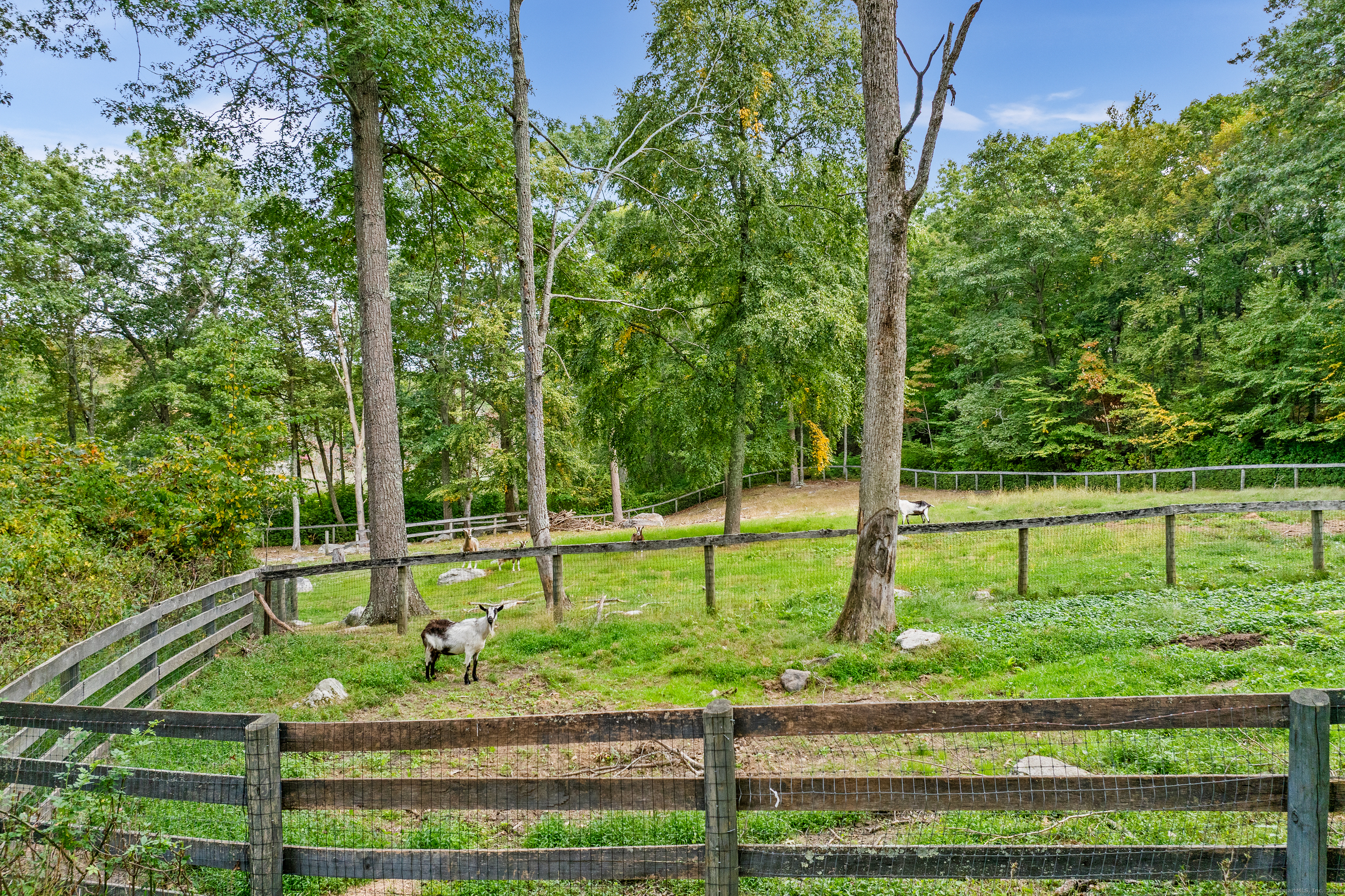 Homes for sale in Killingworth, CT | 17 Colonial Dr, Killingworth, CT 06419 | MLS# 24158910