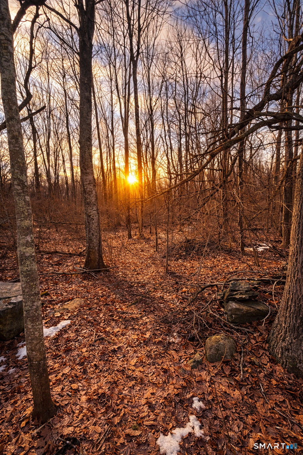 Homes for sale in Norwich, CT | 230 Vergason Ave, Norwich, CT 06360 | MLS# 24150256