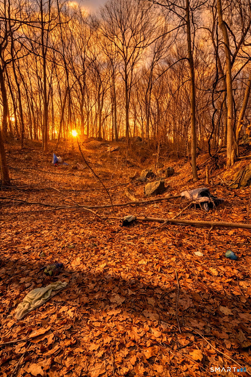 Homes for sale in Norwich, CT | Seventh St, Norwich, CT 06360 | MLS# 24150345