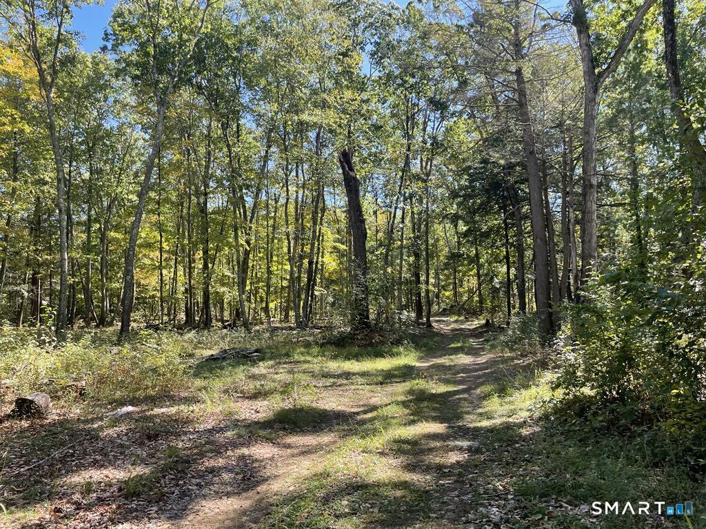 Homes for sale in Eastford, CT | Kozey Rd, Eastford, CT 06242 | MLS# 24159560