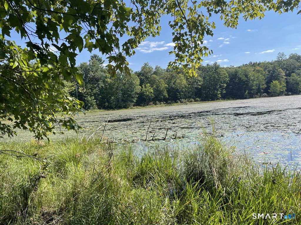 Homes for sale in Eastford, CT | Kozey Rd, Eastford, CT 06242 | MLS# 24159560