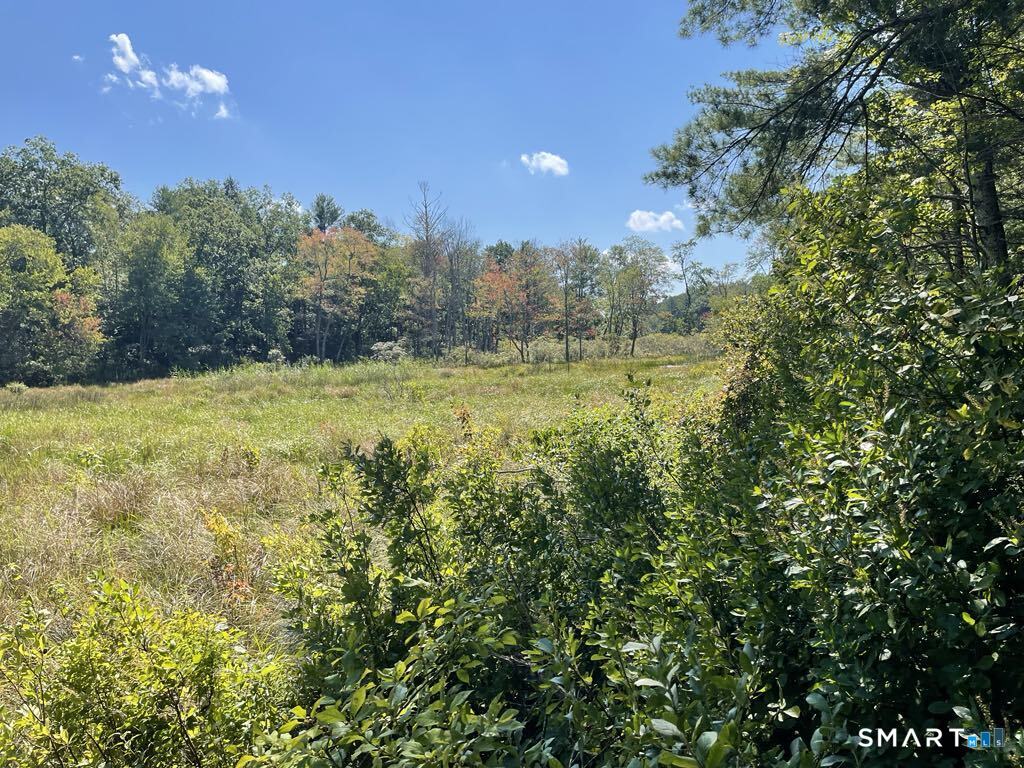 Homes for sale in Eastford, CT | Kozey Rd, Eastford, CT 06242 | MLS# 24159560