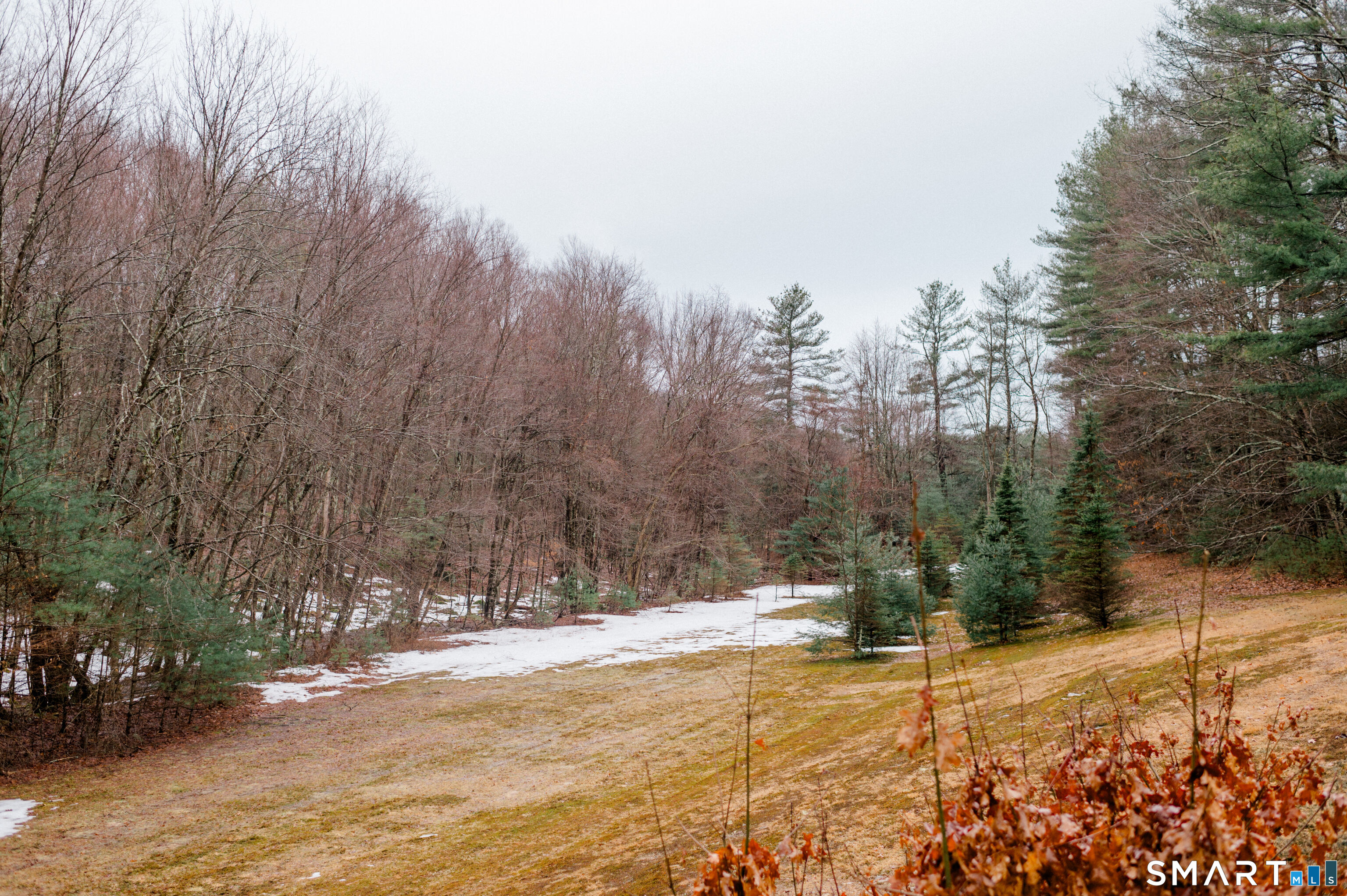 Homes for sale in Willington, CT | 228 Ruby Rd, Willington, CT 06279 | MLS# 24159867