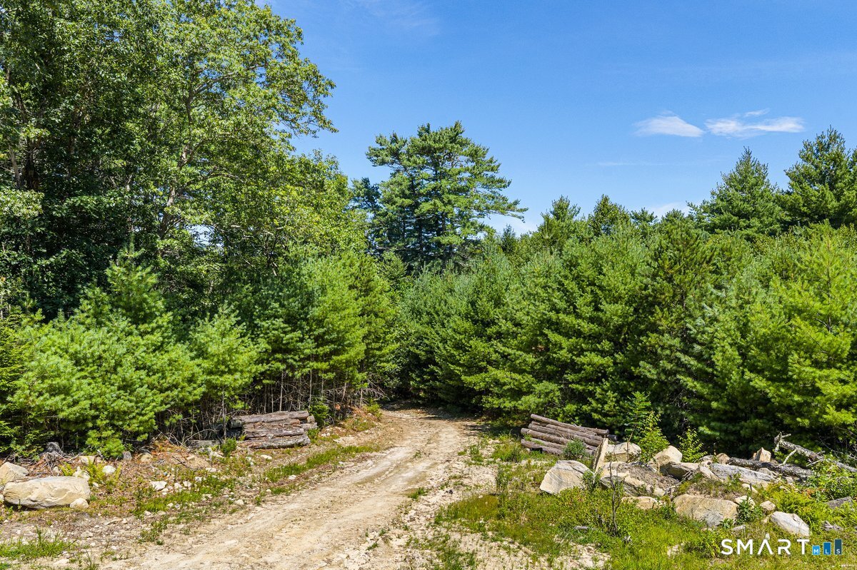 Homes for sale in Sterling, CT | 35 River Rd, Sterling, CT 06377 | MLS# 24118335