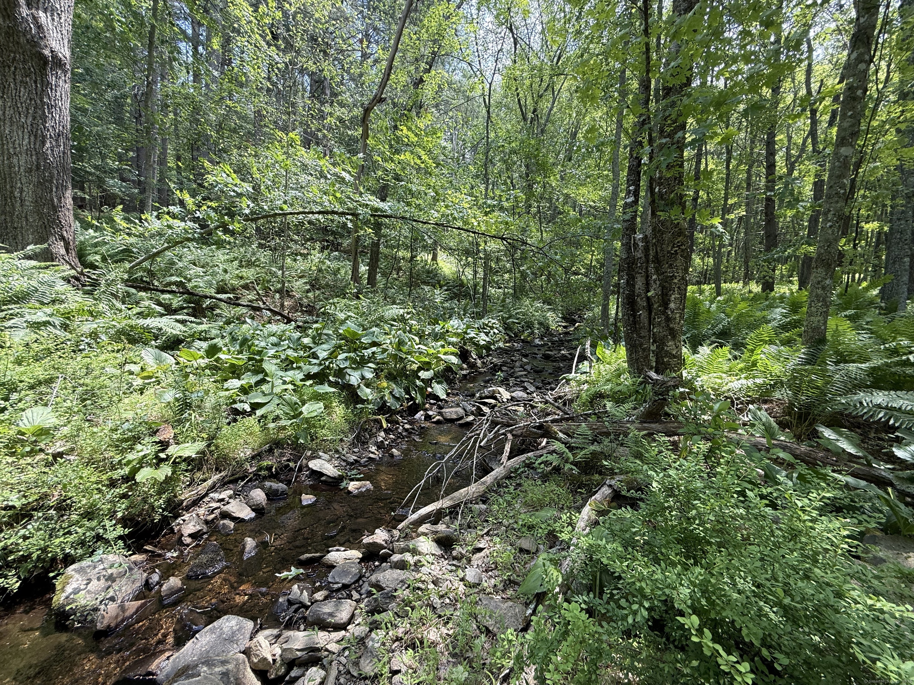 Homes for sale in Killingly, CT | 350 Breakneck Hill Rd, Killingly, CT 06241 | MLS# 24160528