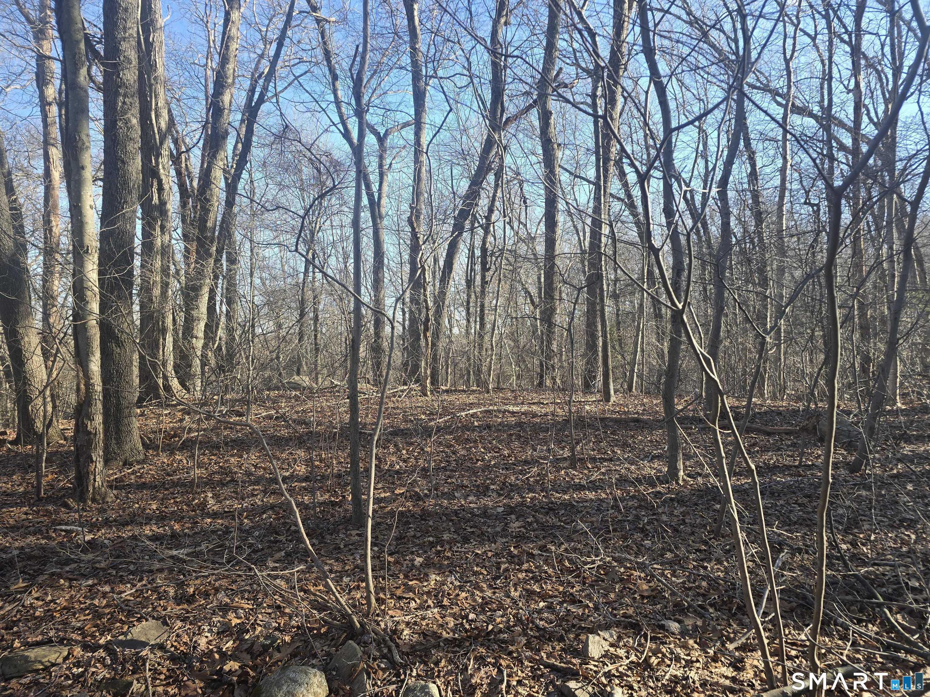 Homes for sale in Salem, CT | 270 Old Colchester Rd, Salem, CT 06420 | MLS# 24159822