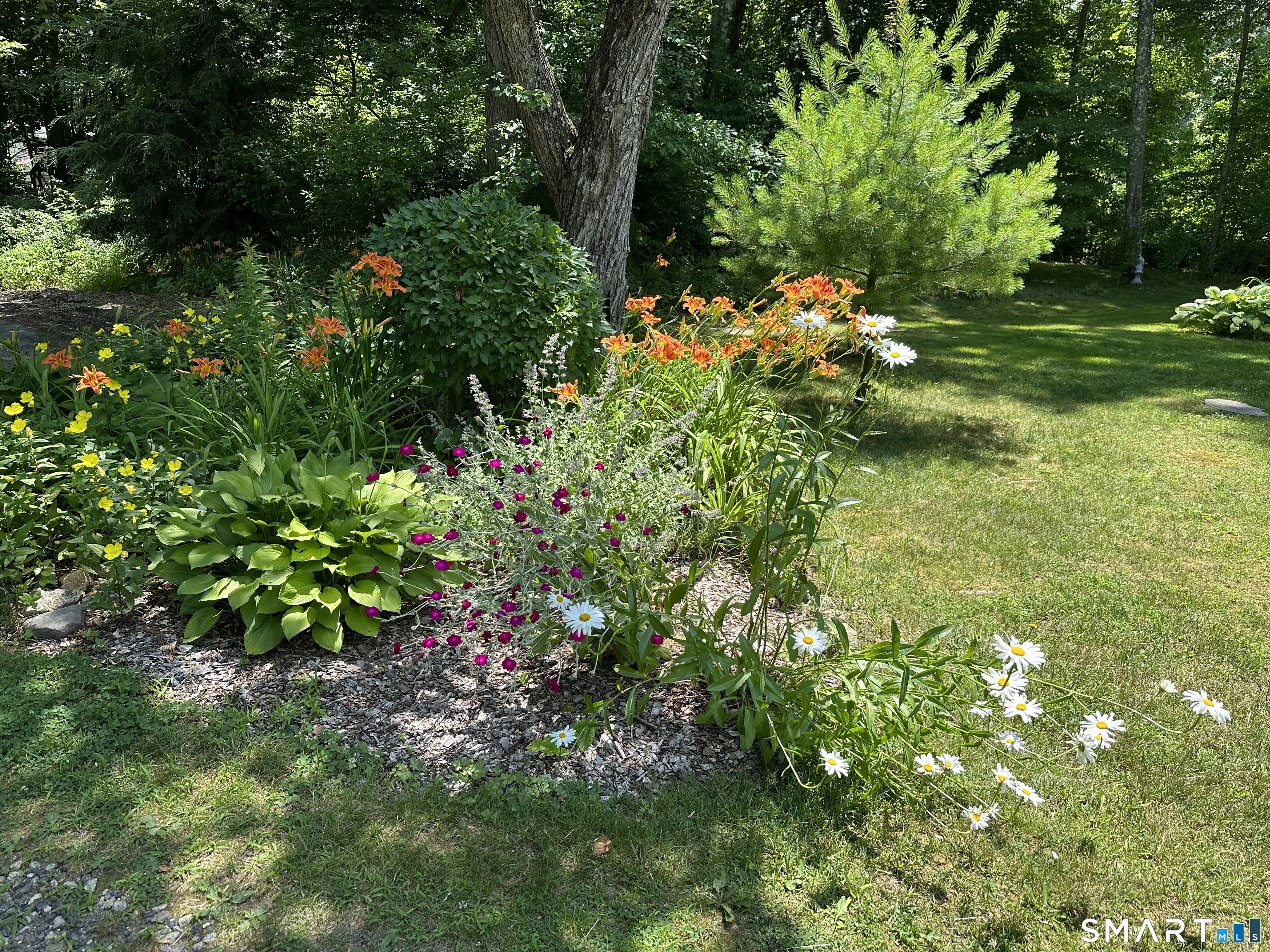 Homes for sale in Colchester, CT | 18 Quail Rd, Colchester, CT 06415 | MLS# 24161343