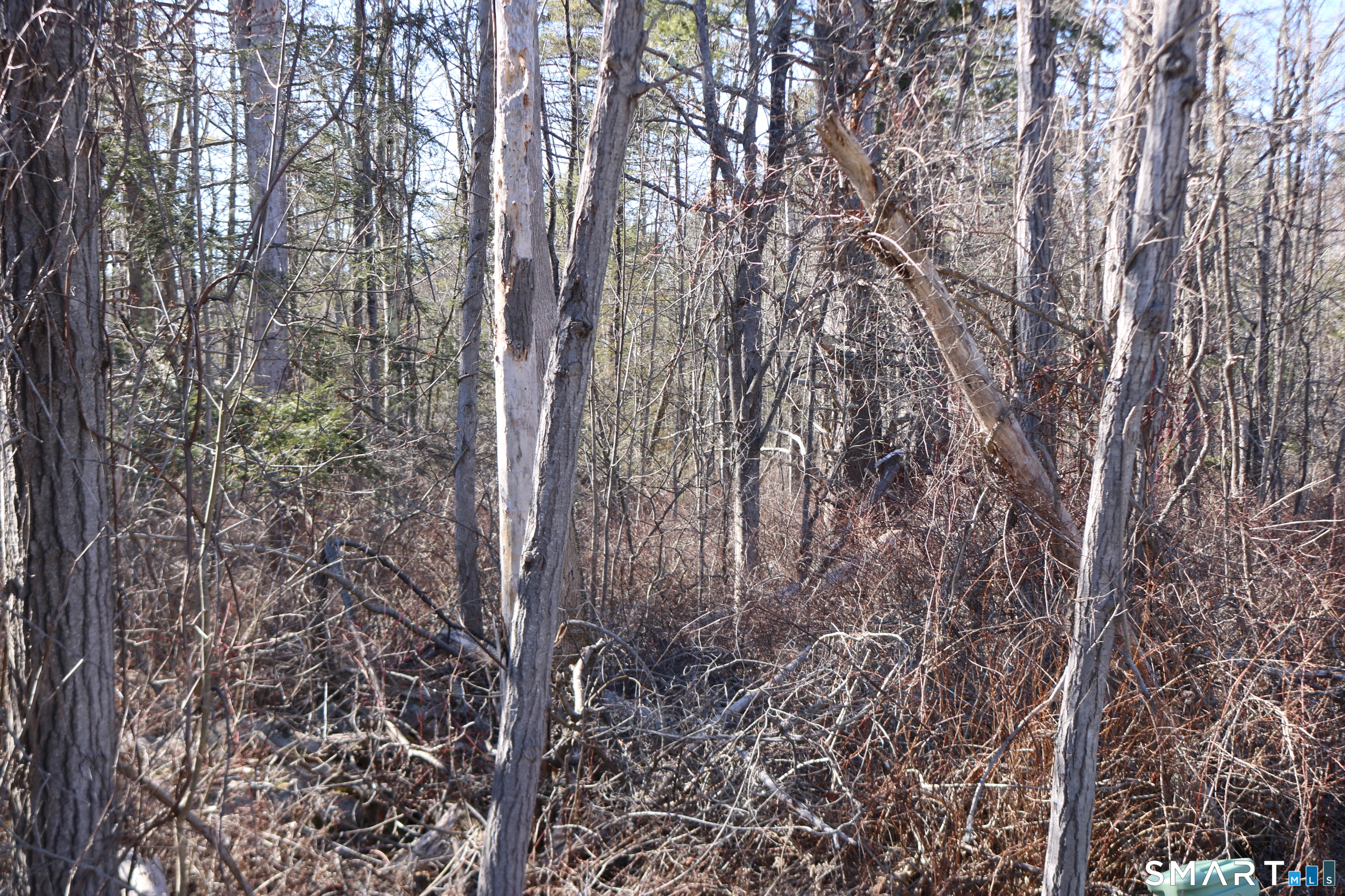 Photo 1 of Ashley Drive, Goshen, CT