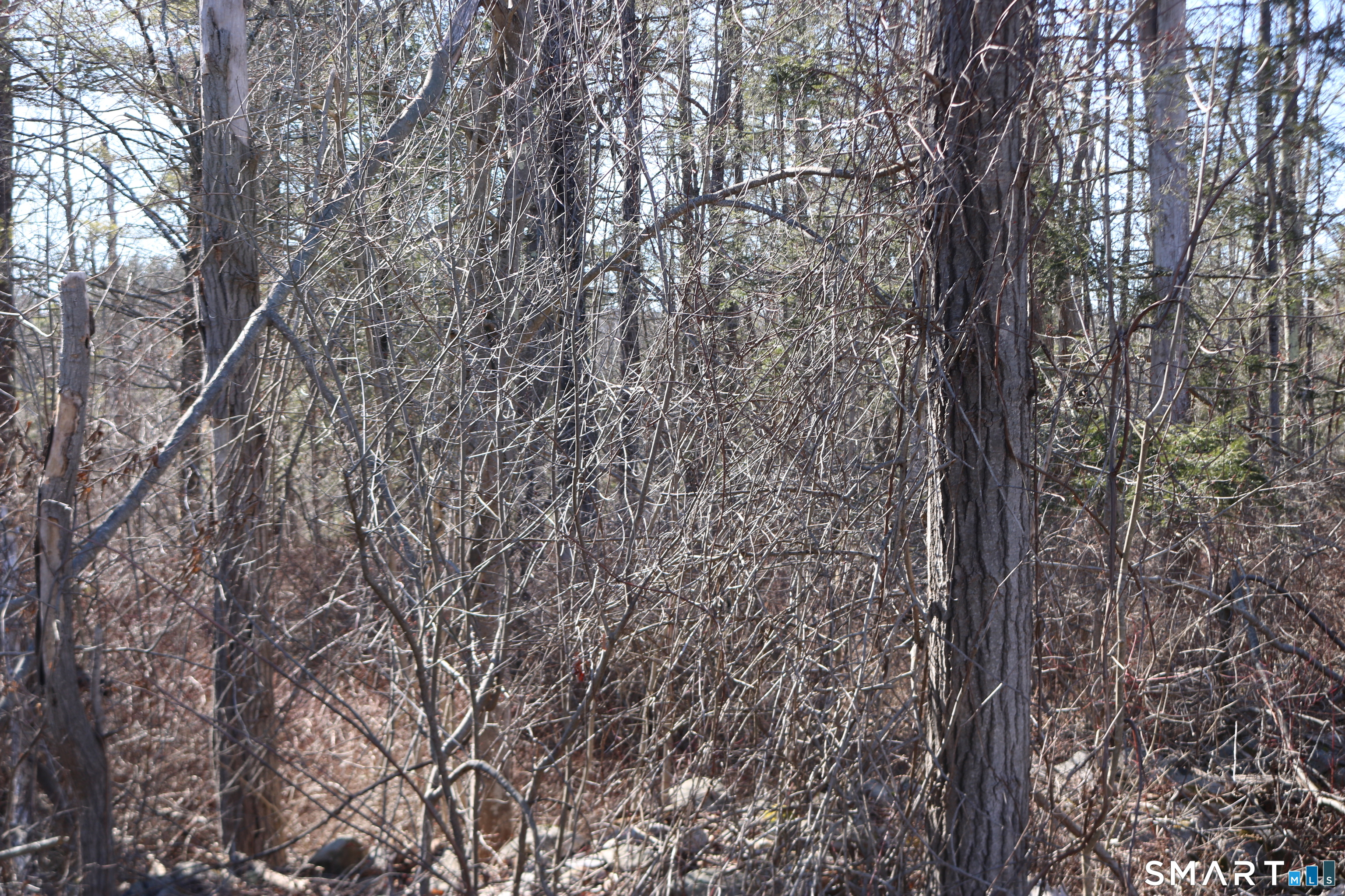 Photo 2 of Ashley Drive, Goshen, CT