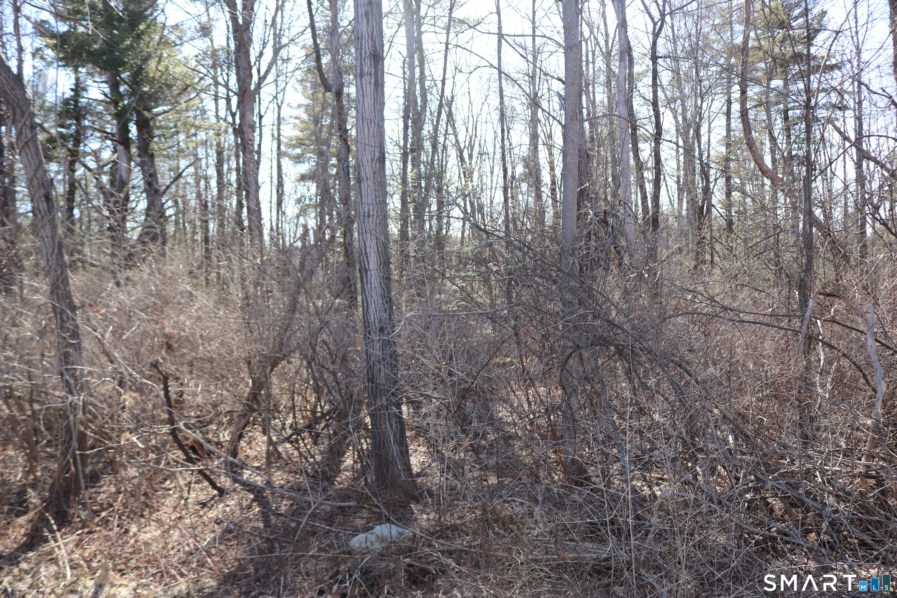 Photo 4 of Ashley Drive, Goshen, CT