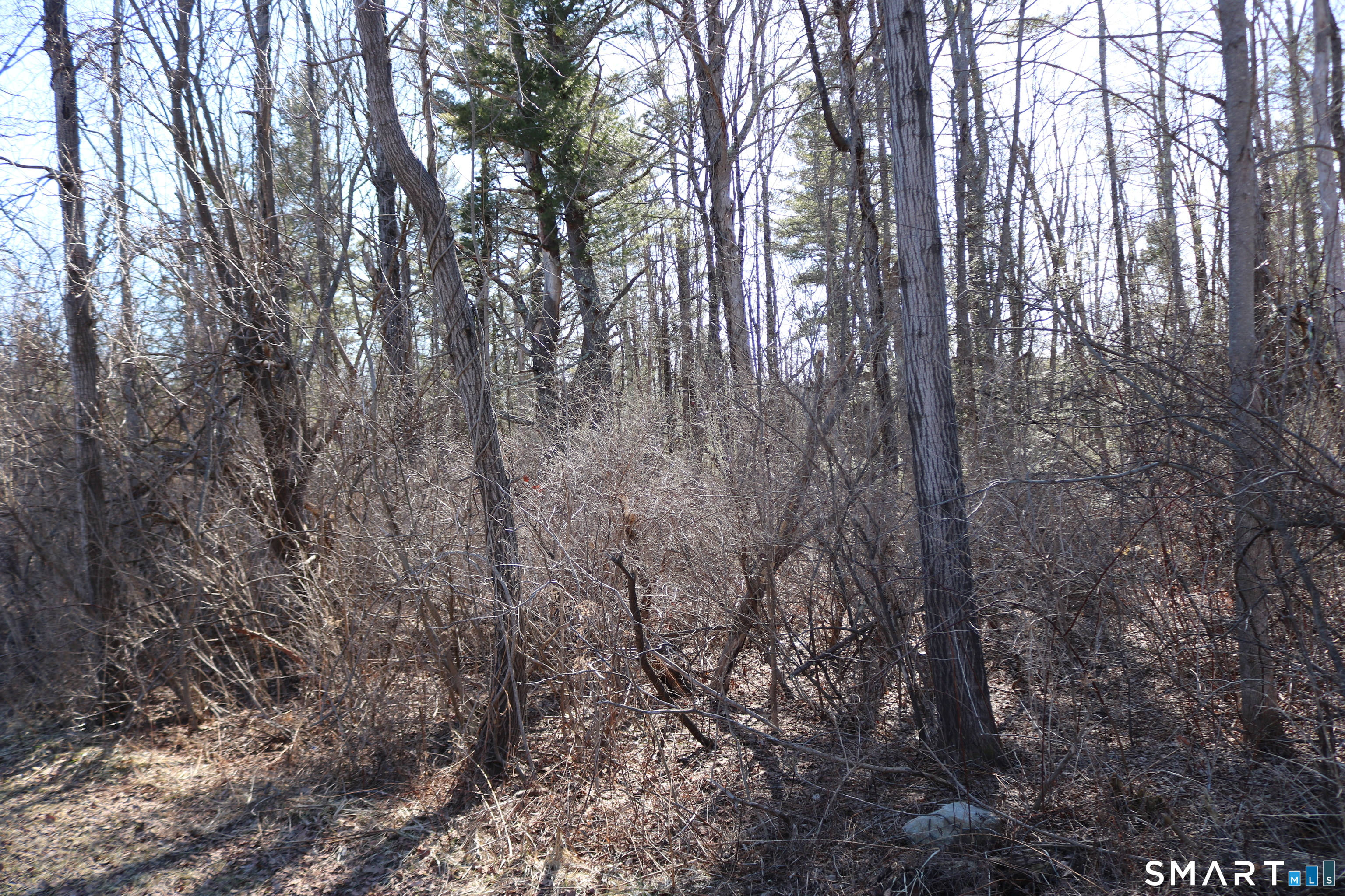 Photo 5 of Ashley Drive, Goshen, CT