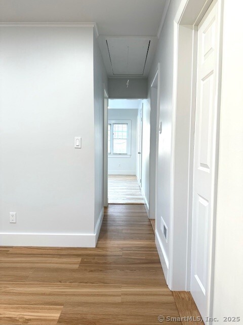 95 Horace, Stratford, 06614, 2 Bedrooms Bedrooms, 0 ,1 BathroomBathrooms,Residential Rental,For Sale,Horace,0,24162758