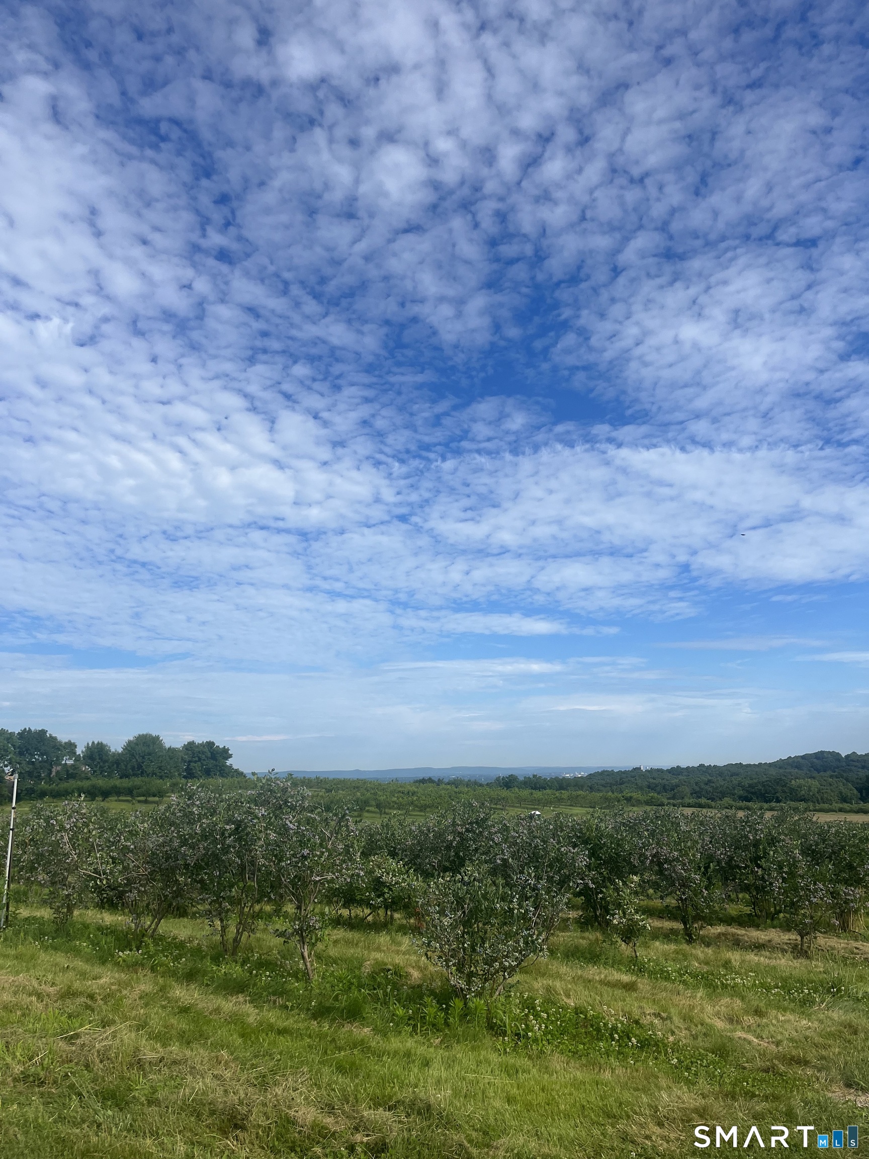 280-300 Matson Hill, Glastonbury, 06073, 0 , 0 ,0,Commercial For Sale,For Sale,Matson Hill,0,24164446