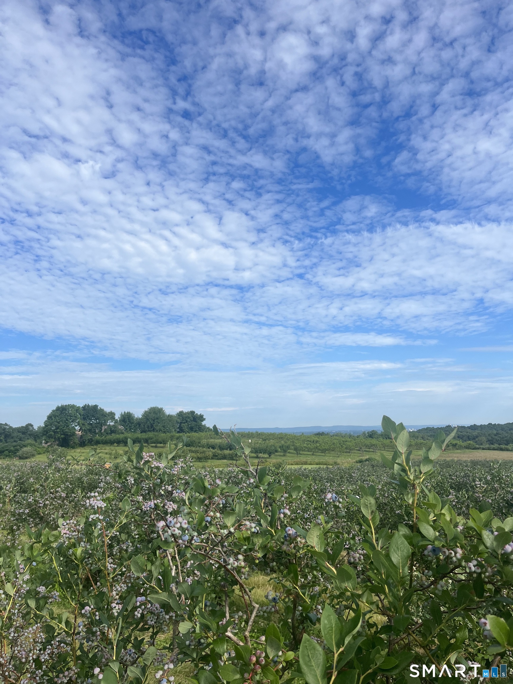 280-300 Matson Hill, Glastonbury, 06073, 0 , 0 ,0,Commercial For Sale,For Sale,Matson Hill,0,24164446