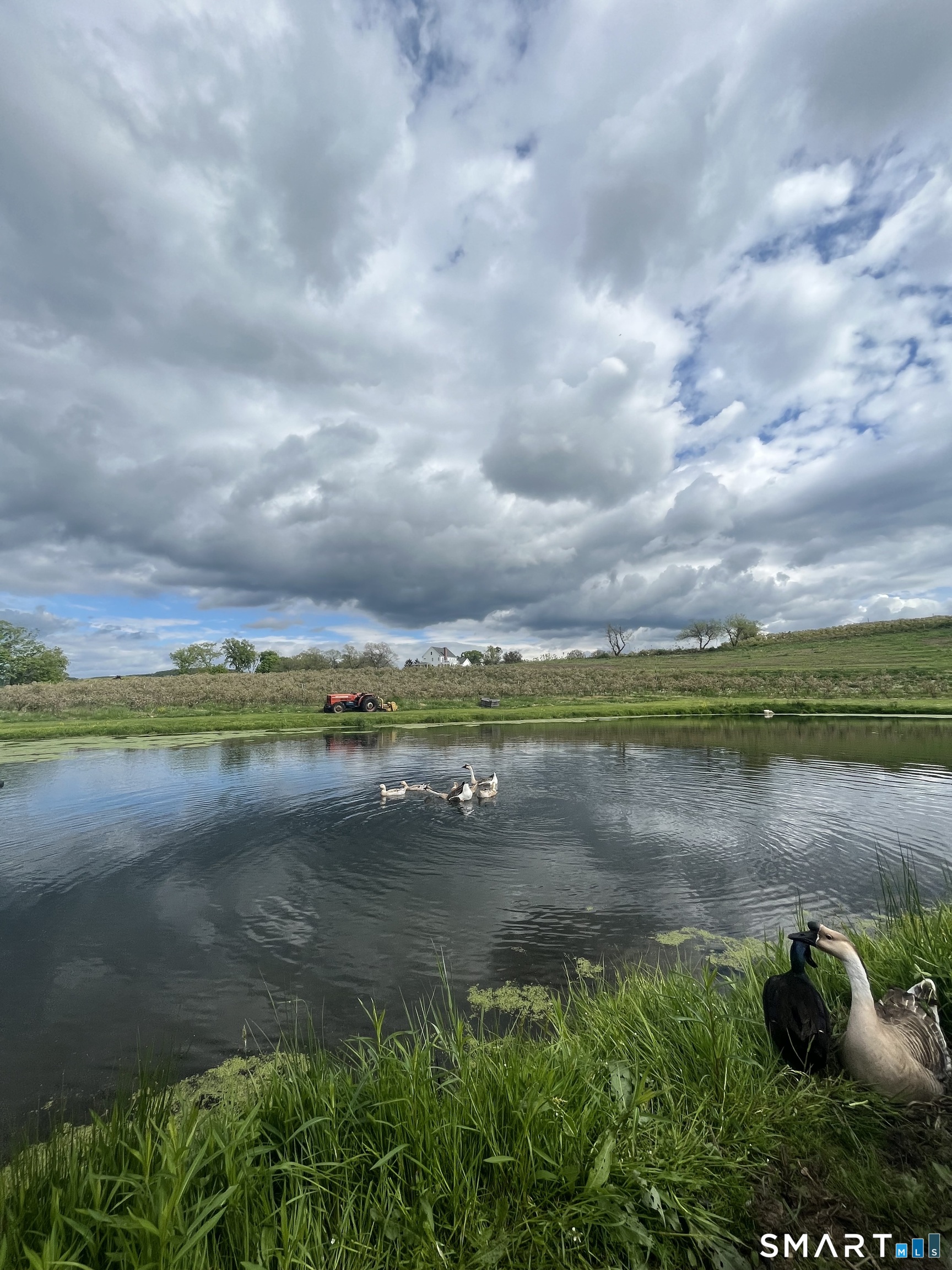 280-300 Matson Hill, Glastonbury, 06073, 0 , 0 ,0,Commercial For Sale,For Sale,Matson Hill,0,24164446