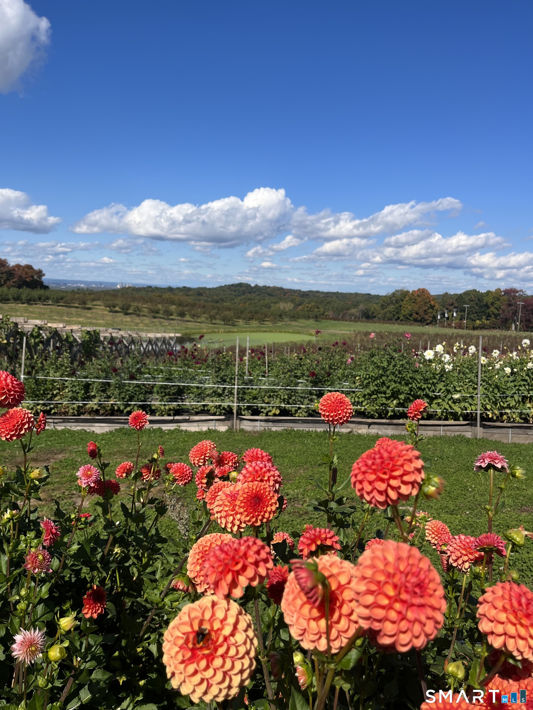 280-300 Matson Hill, Glastonbury, 06073, 0 , 0 ,0,Commercial For Sale,For Sale,Matson Hill,0,24164446