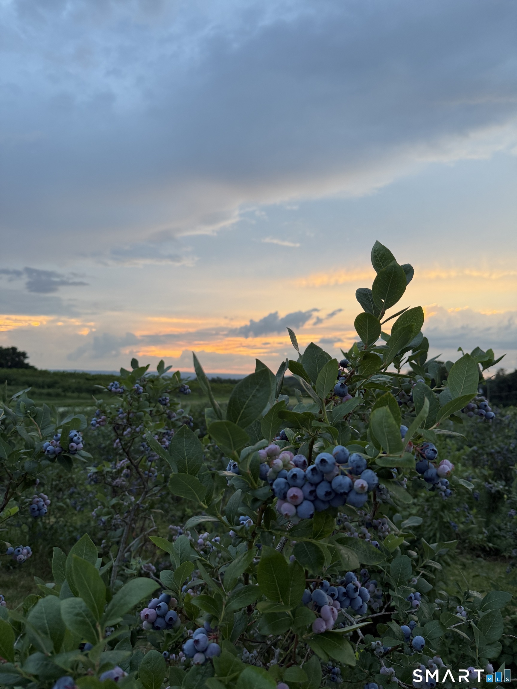 280-300 Matson Hill, Glastonbury, 06073, 0 , 0 ,0,Commercial For Sale,For Sale,Matson Hill,0,24164446