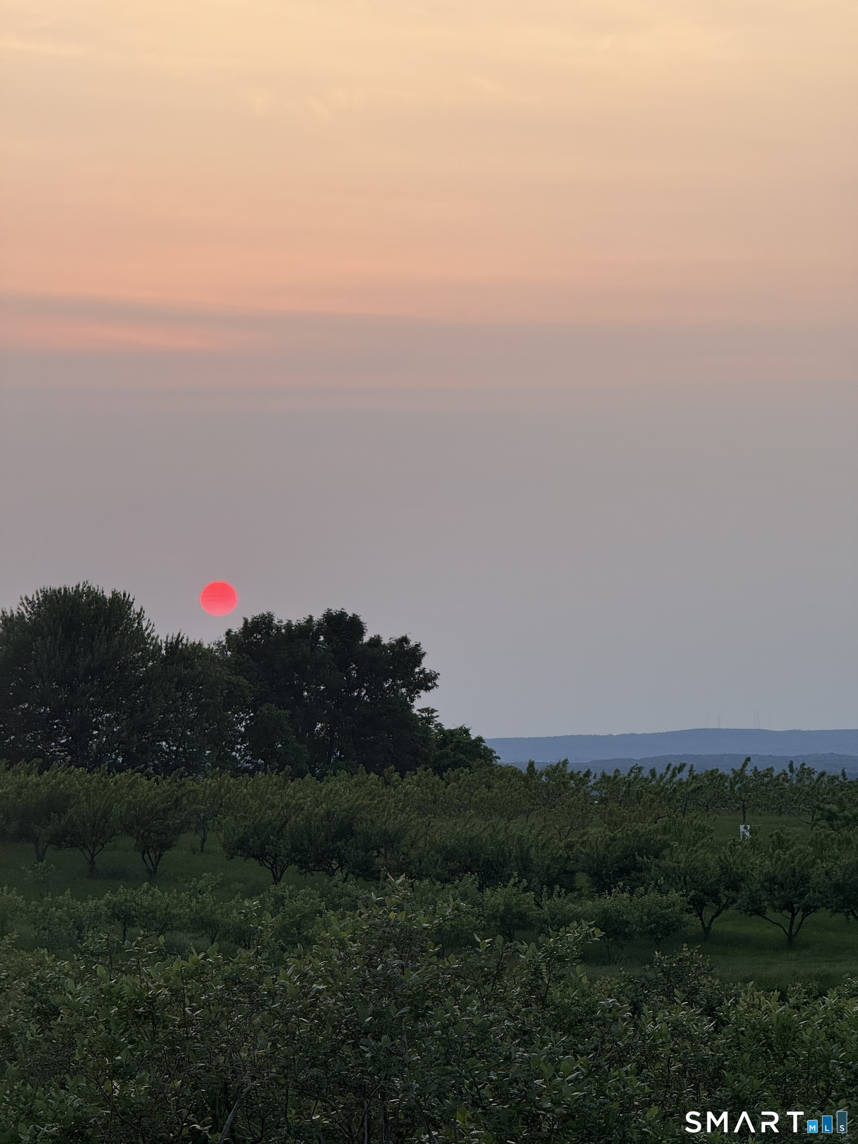 280-300 Matson Hill, Glastonbury, 06073, 0 , 0 ,0,Commercial For Sale,For Sale,Matson Hill,0,24164446