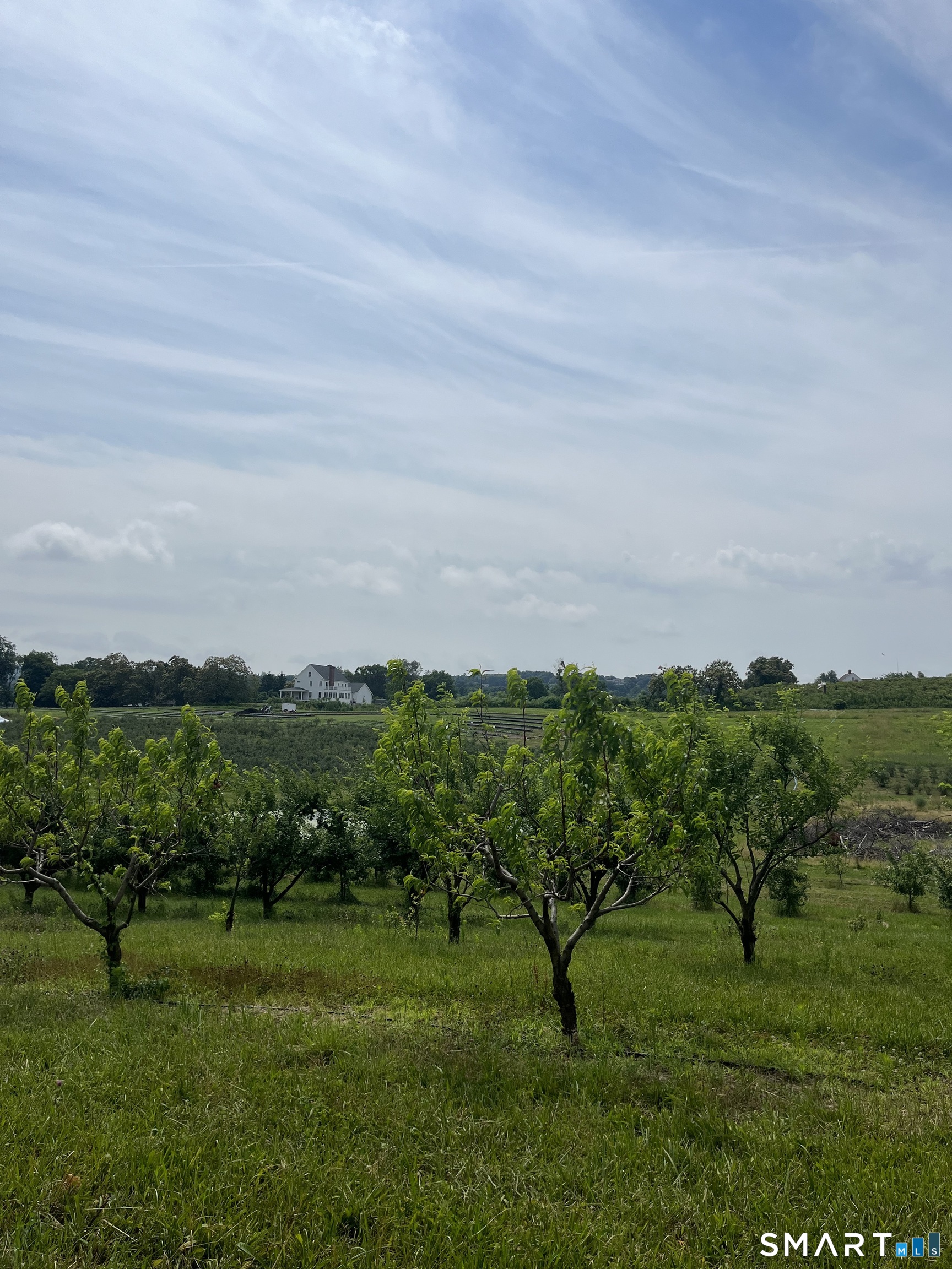 280-300 Matson Hill, Glastonbury, 06073, 0 , 0 ,0,Commercial For Sale,For Sale,Matson Hill,0,24164446