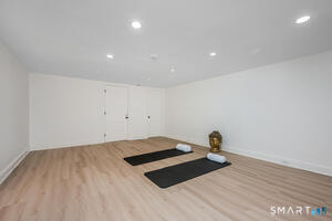 Gym/rec room lower level