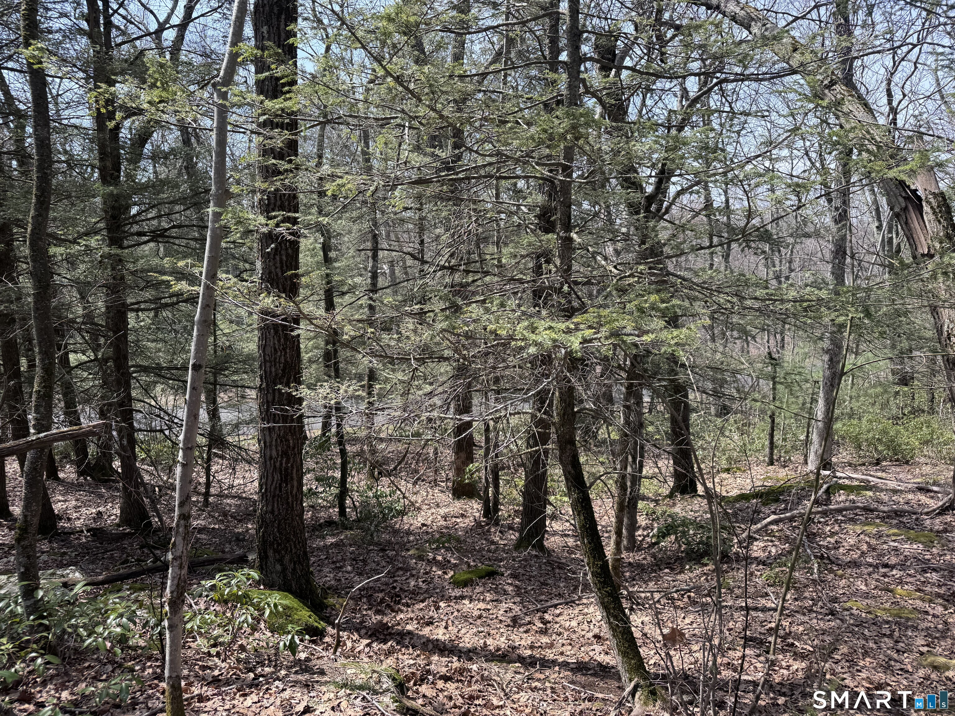Windy Ridge, Warren, 06754, 0 , 0 ,0,Lots And Land For Sale,For Sale,Windy Ridge,0,24166848