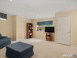 Full window in lower level Family Room