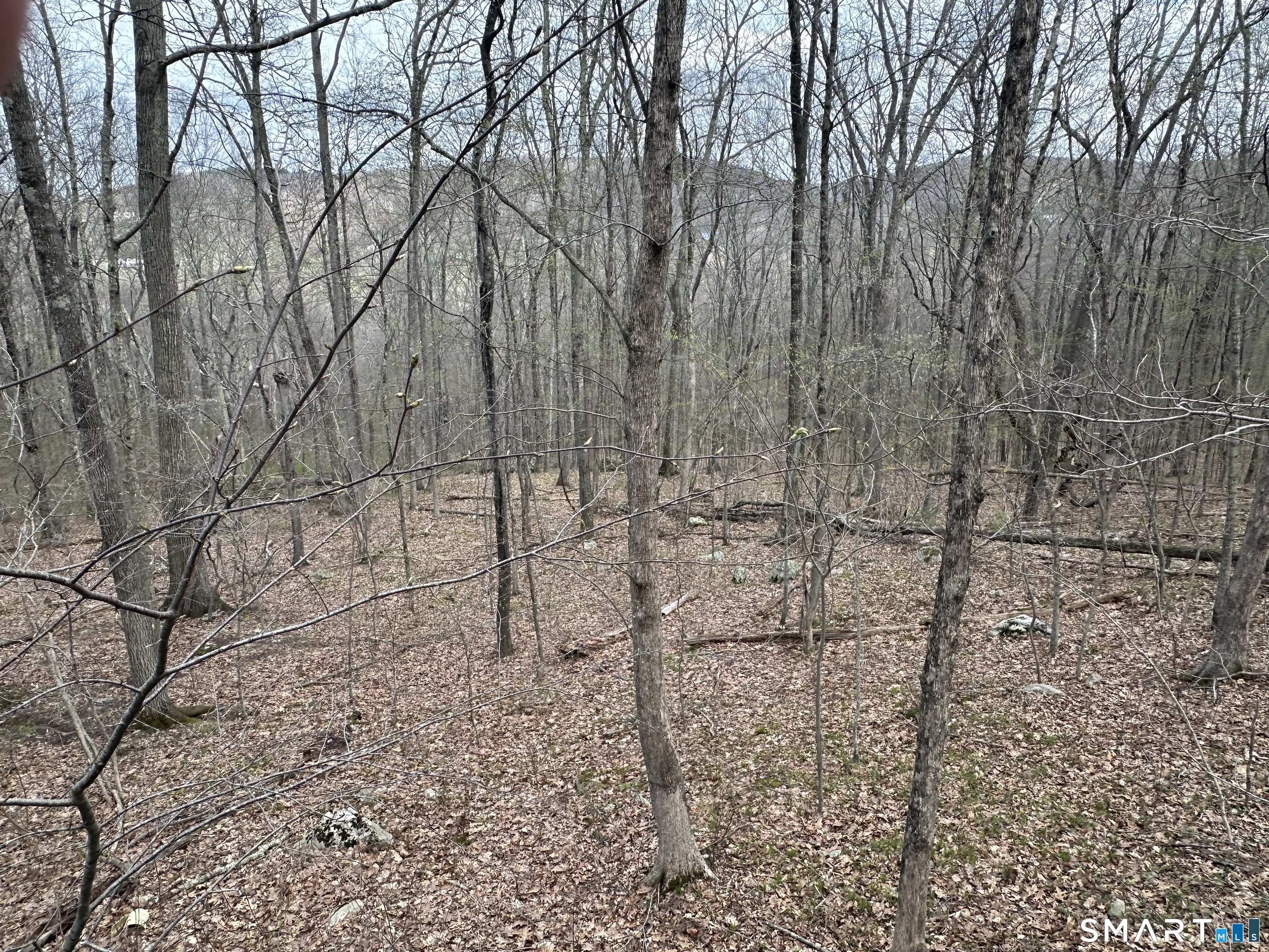 1st image of 40 Frenchmans Rd, New Milford, CT 06776 | MLS# 24168108