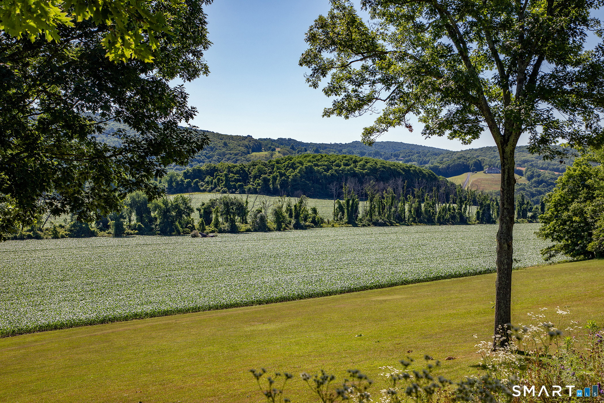 617 Bean River, Pine Plains, 12567, 3 Bedrooms Bedrooms, 0 ,3 BathroomsBathrooms,Single Family For Sale,For Sale,Bean River,0,24168391