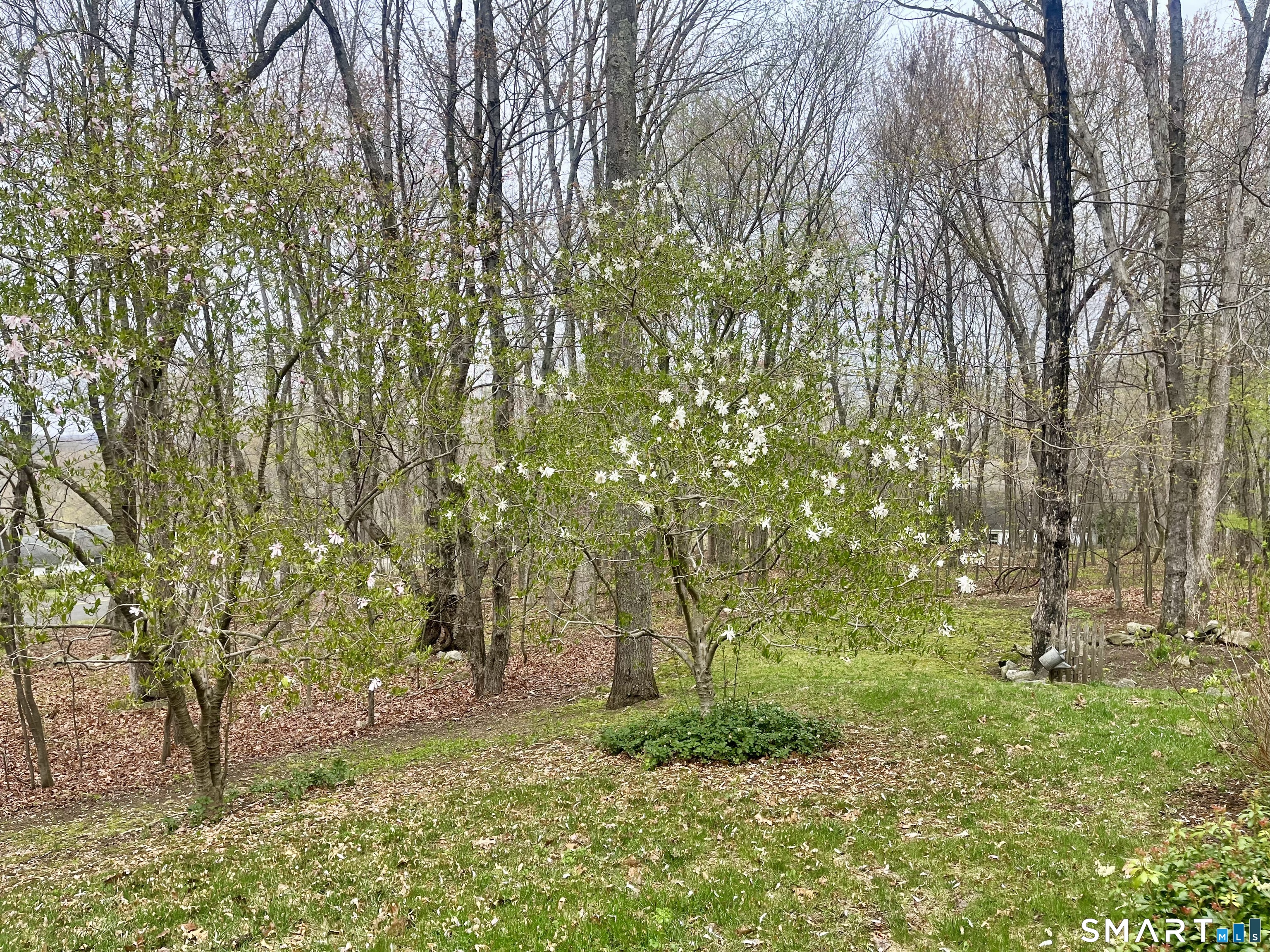 16 Jonathan, Roxbury, 06783, 3 Bedrooms Bedrooms, 0 ,2 BathroomsBathrooms,Single Family For Sale,For Sale,Jonathan,0,24153218