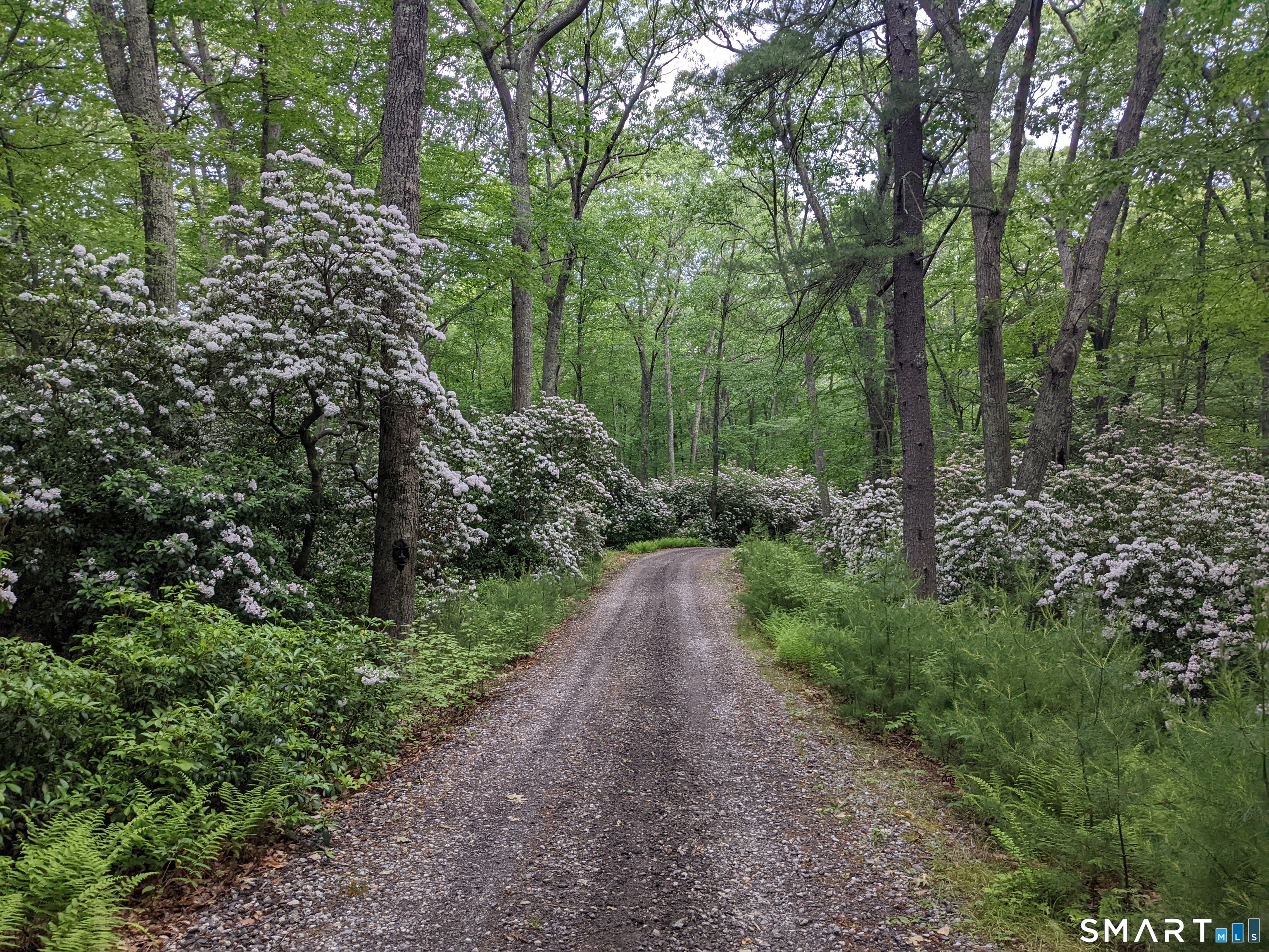 Homes for sale in Old Lyme, CT | 150 1 Mitchell Hill Rd, Old Lyme, CT 06371 | MLS# 24169778