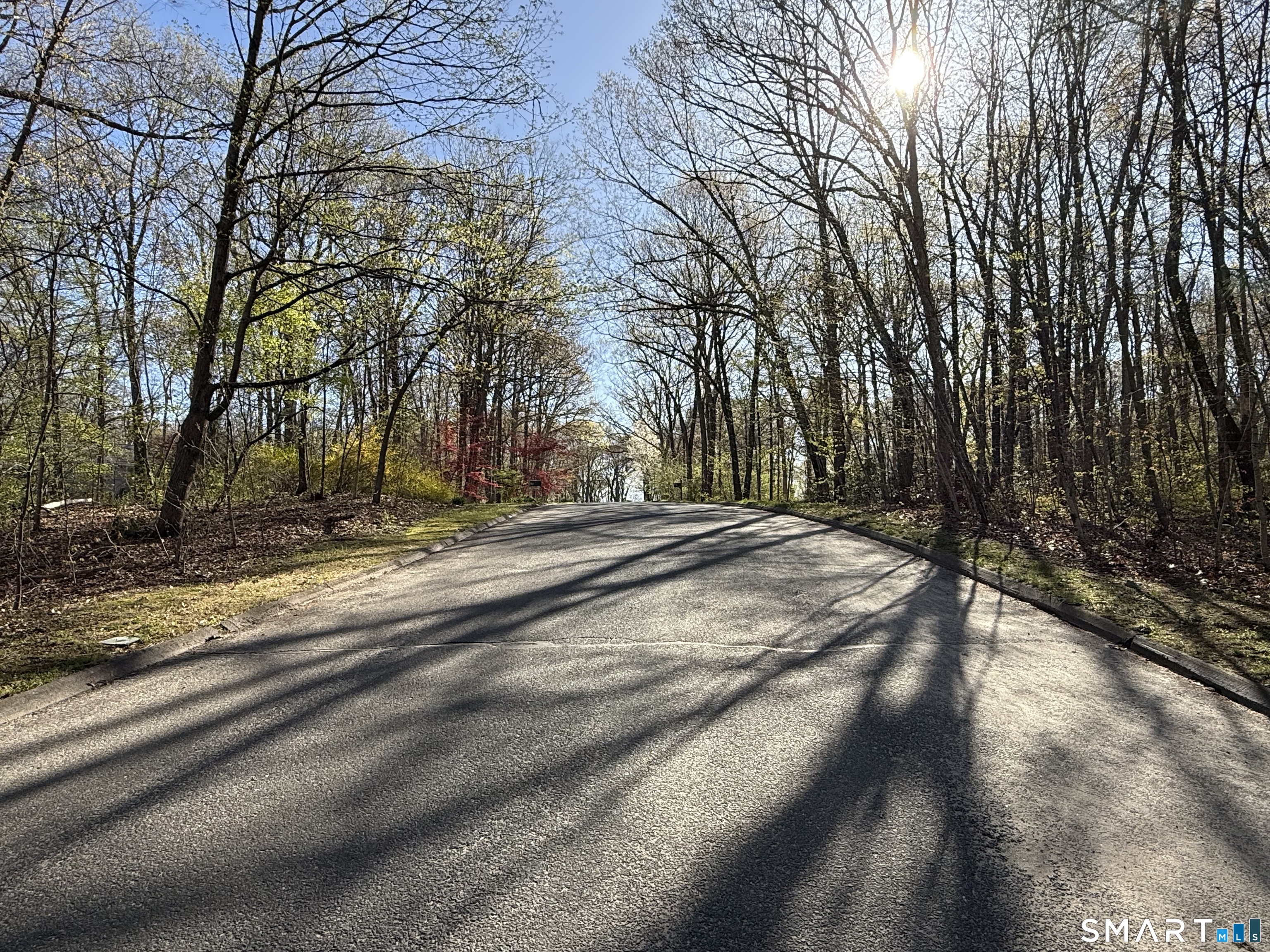 86 Quail Run, Woodbury, 06798, 3 Bedrooms Bedrooms, 0 ,2 BathroomsBathrooms,Single Family For Sale,For Sale,Quail Run,0,24159088