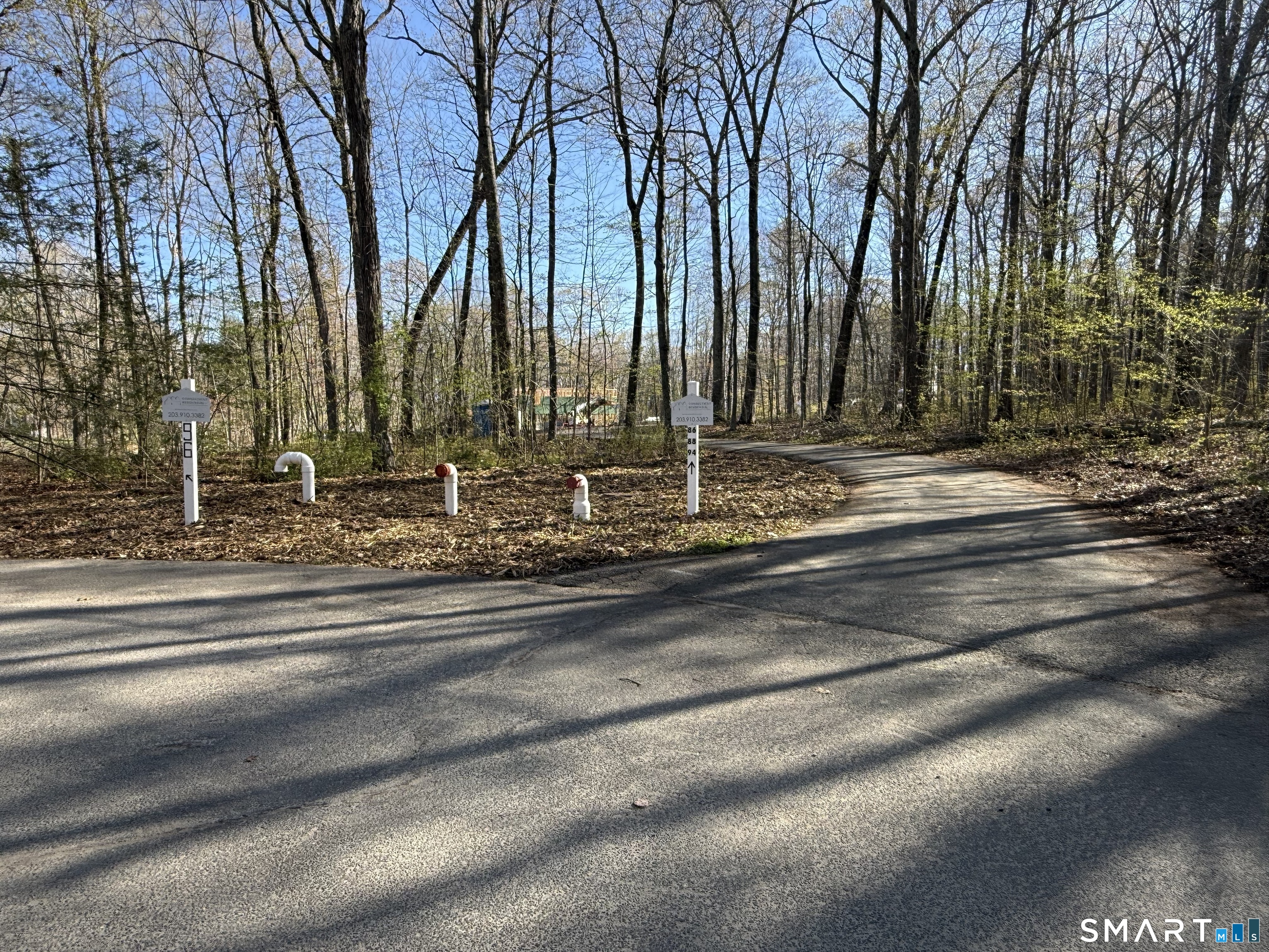 86 Quail Run, Woodbury, 06798, 3 Bedrooms Bedrooms, 0 ,2 BathroomsBathrooms,Single Family For Sale,For Sale,Quail Run,0,24159088