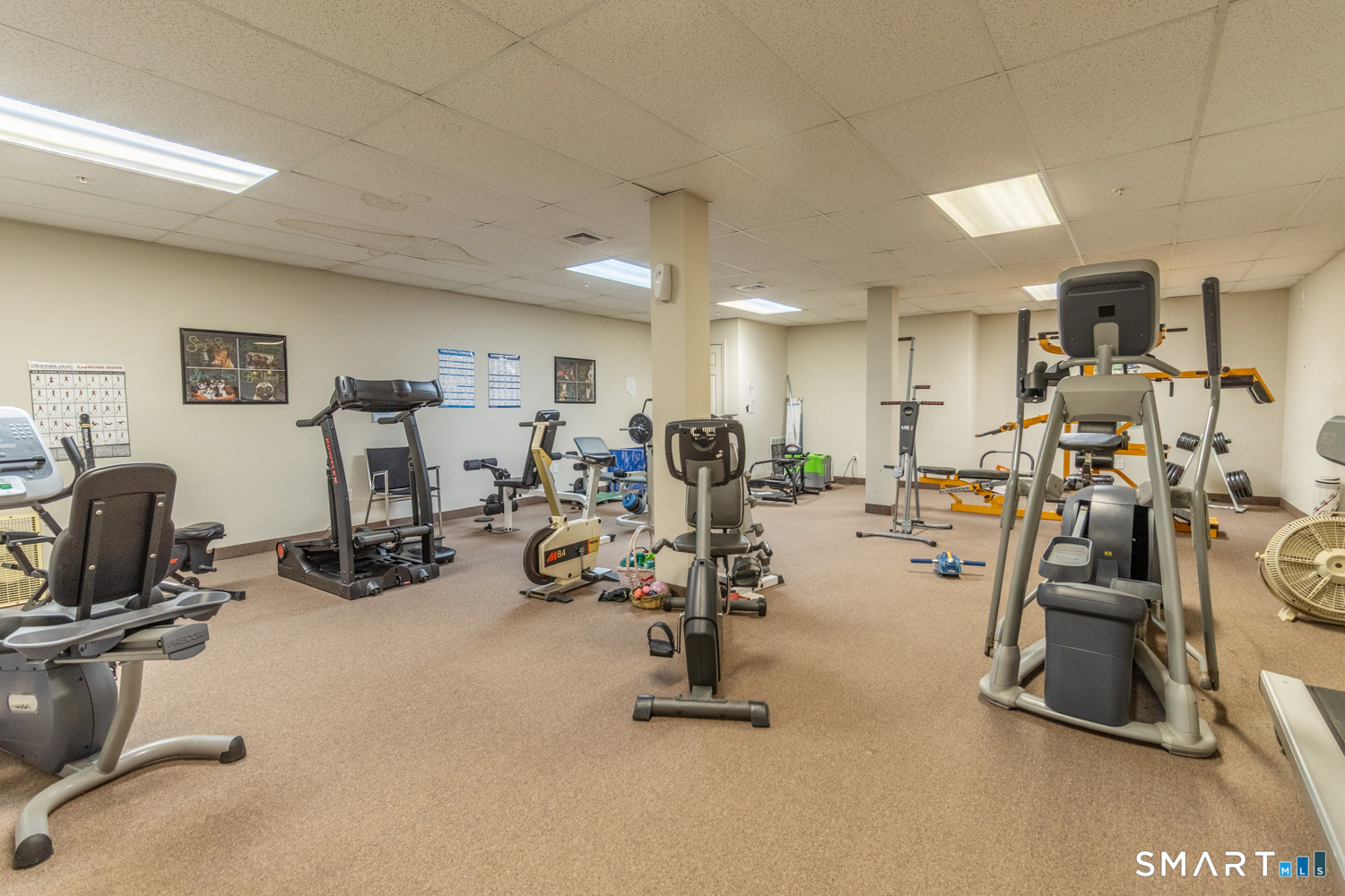 1 Brush Pasture, Portland, 06480, 1 Bedroom Bedrooms, 0 ,1 BathroomBathrooms,Condo/co-op For Sale,For Sale,Brush Pasture,0,24171148
