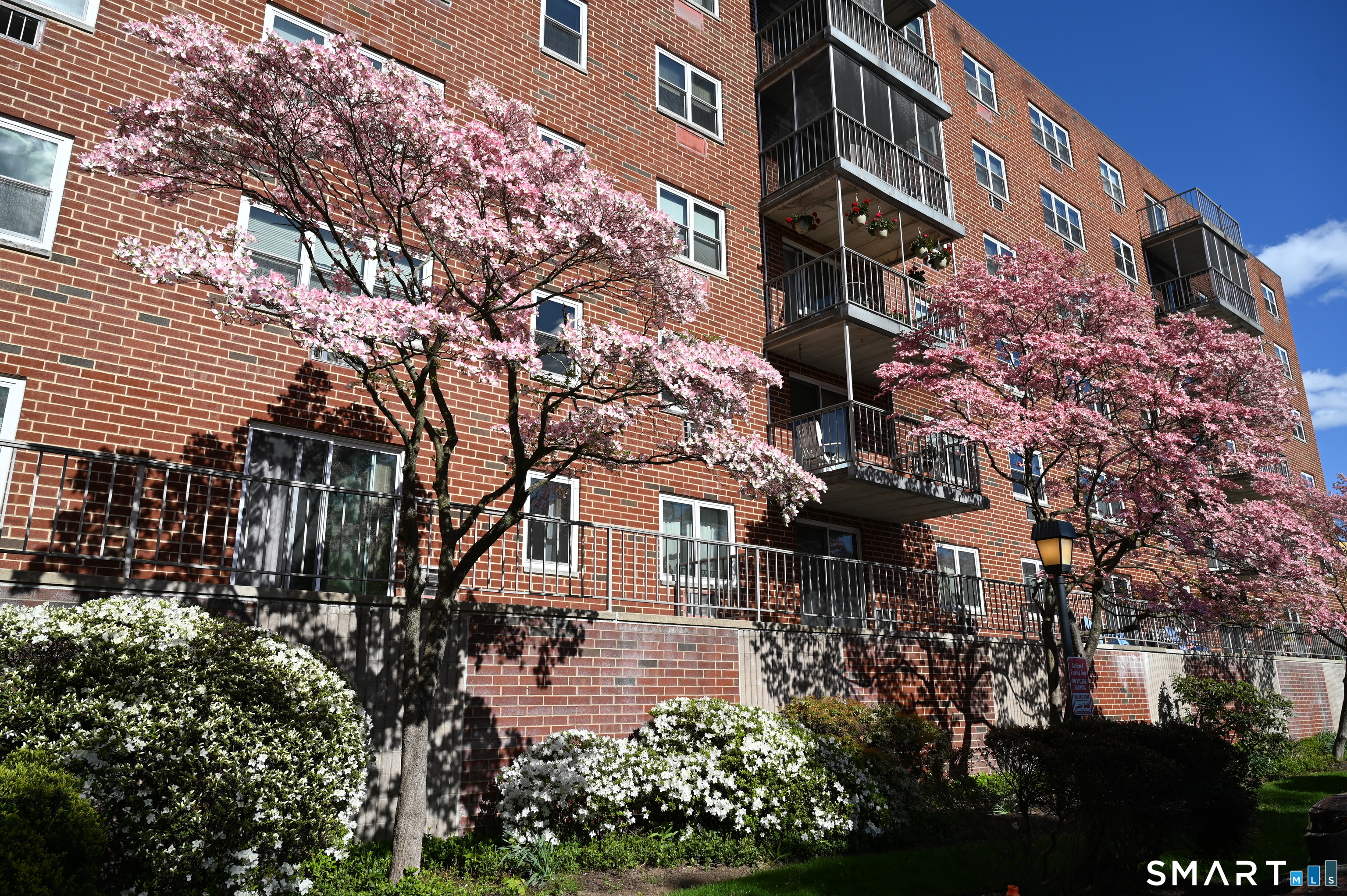 27 Northill, Stamford, 06907, 1 Bedroom Bedrooms, 0 ,1 BathroomBathrooms,Residential Rental,For Sale,Northill,0,24170665