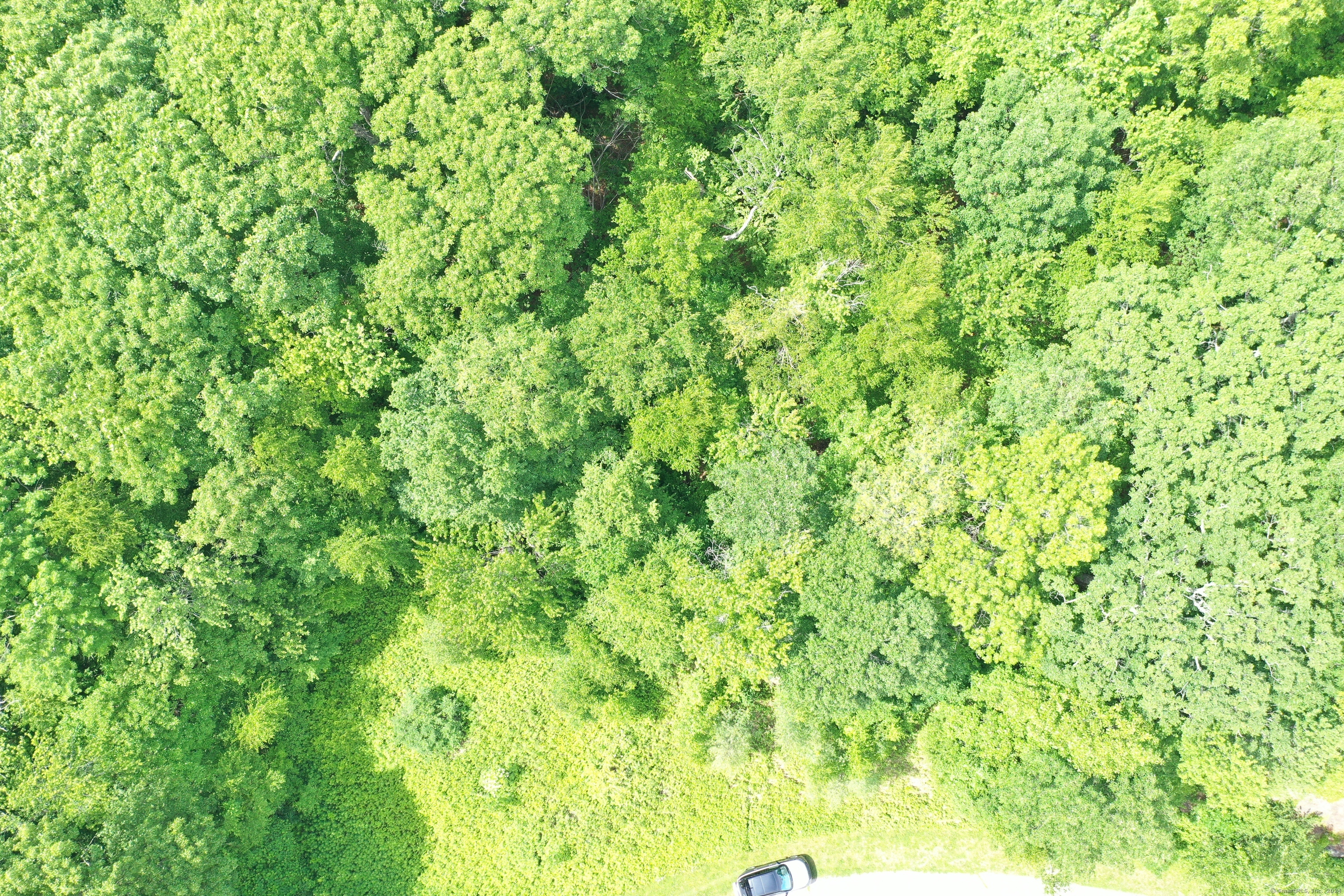 17 Old Homestead, Kent, 06757, 0 , 0 ,0,Lots And Land For Sale,For Sale,Old Homestead,0,24172891