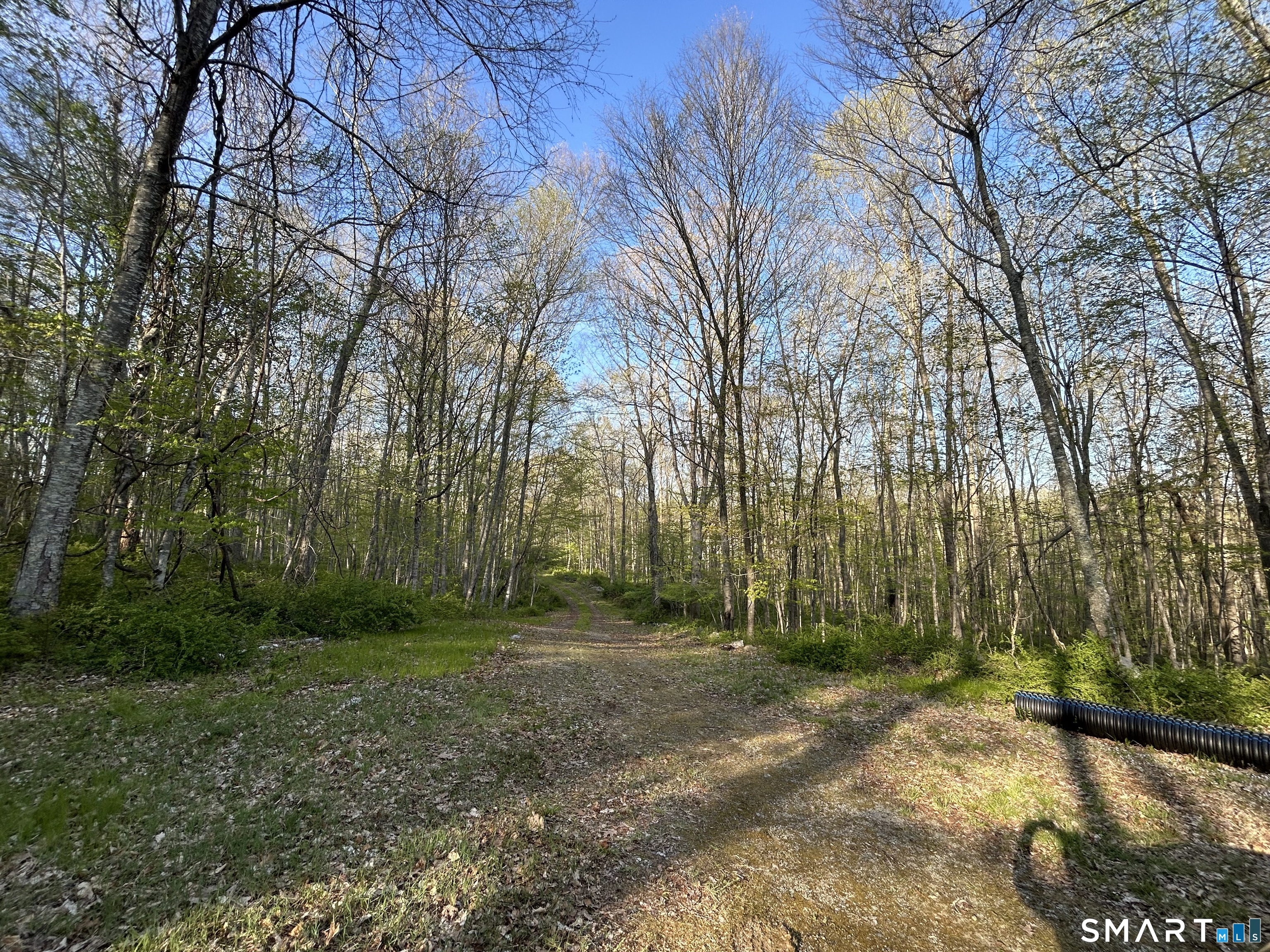 78 Salt Rock, Sprague, 06330, 0 , 0 ,0,Lots And Land For Sale,For Sale,Salt Rock,0,24171156