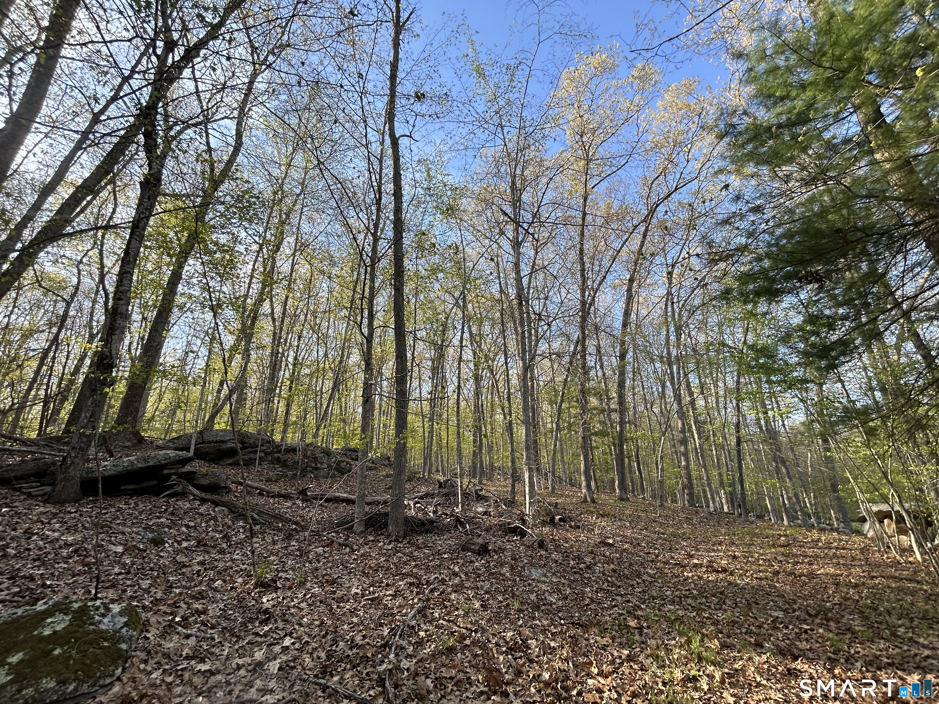 78 Salt Rock, Sprague, 06330, 0 , 0 ,0,Lots And Land For Sale,For Sale,Salt Rock,0,24171156