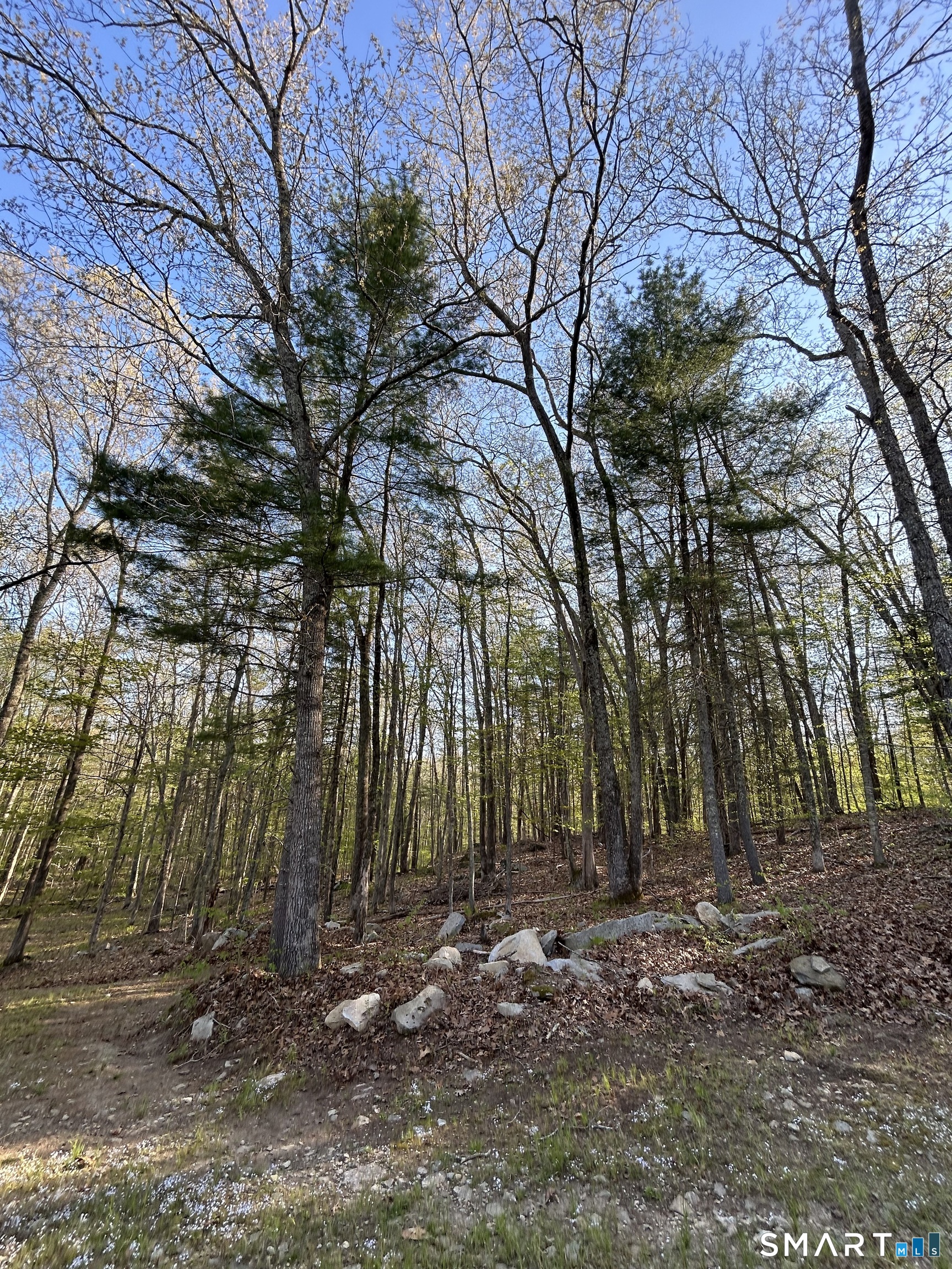 78 Salt Rock, Sprague, 06330, 0 , 0 ,0,Lots And Land For Sale,For Sale,Salt Rock,0,24171156