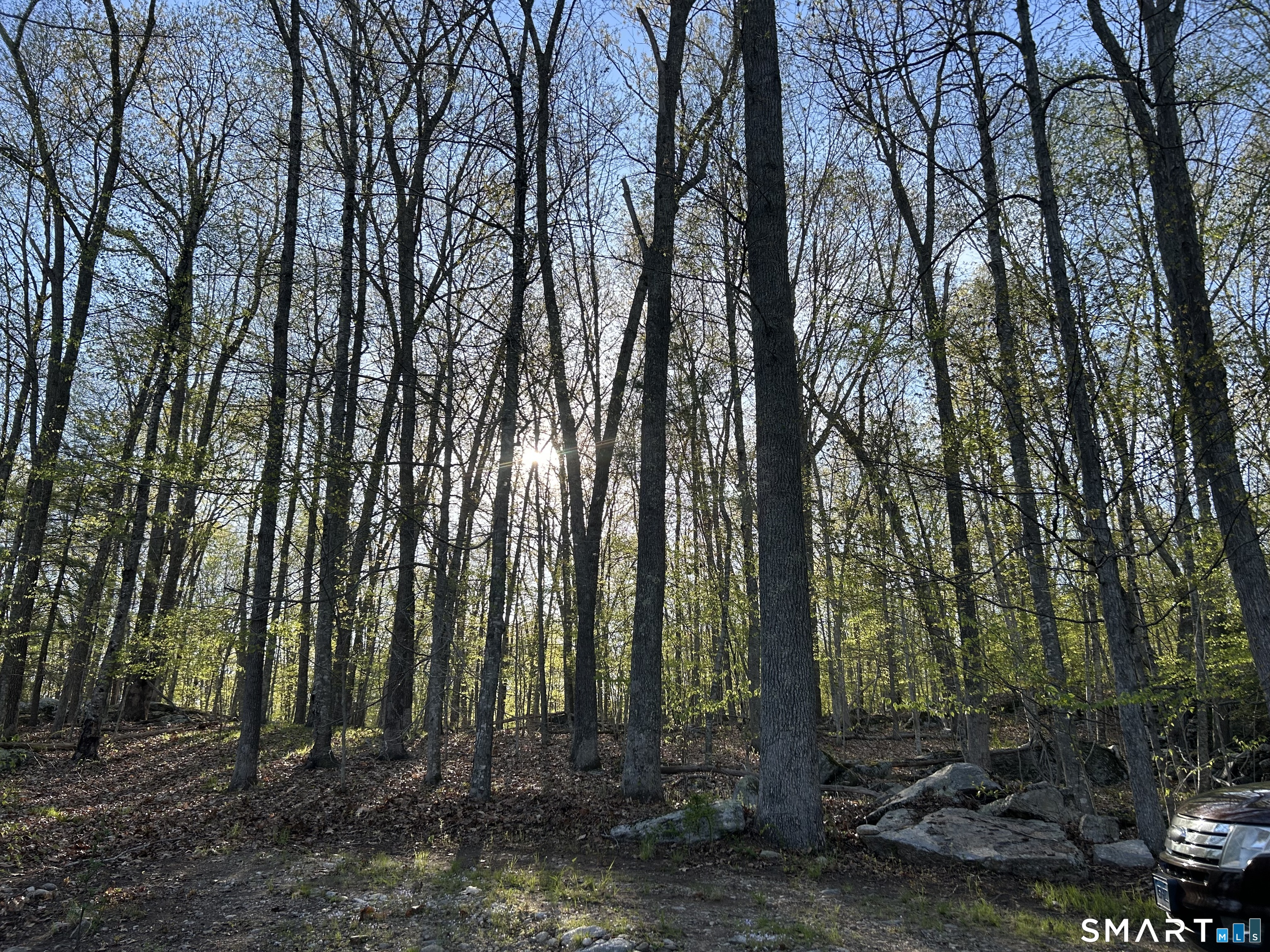 78 Salt Rock, Sprague, 06330, 0 , 0 ,0,Lots And Land For Sale,For Sale,Salt Rock,0,24171156