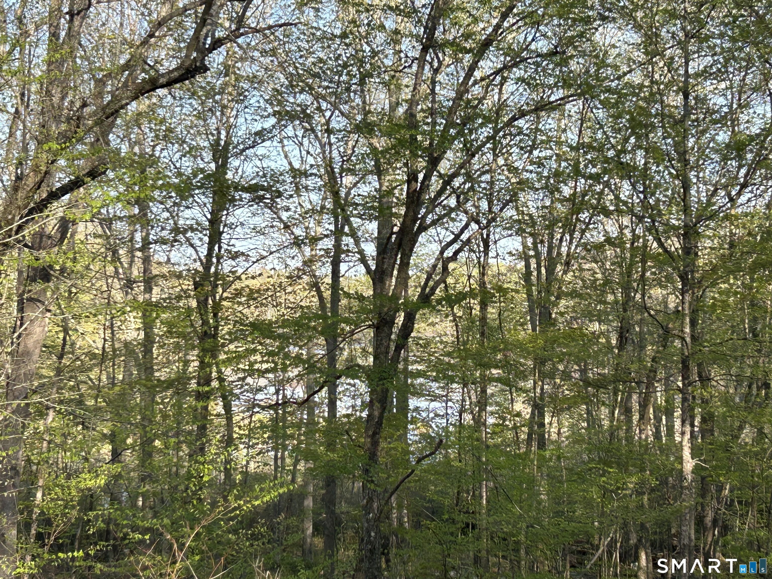 78 Salt Rock, Sprague, 06330, 0 , 0 ,0,Lots And Land For Sale,For Sale,Salt Rock,0,24171156