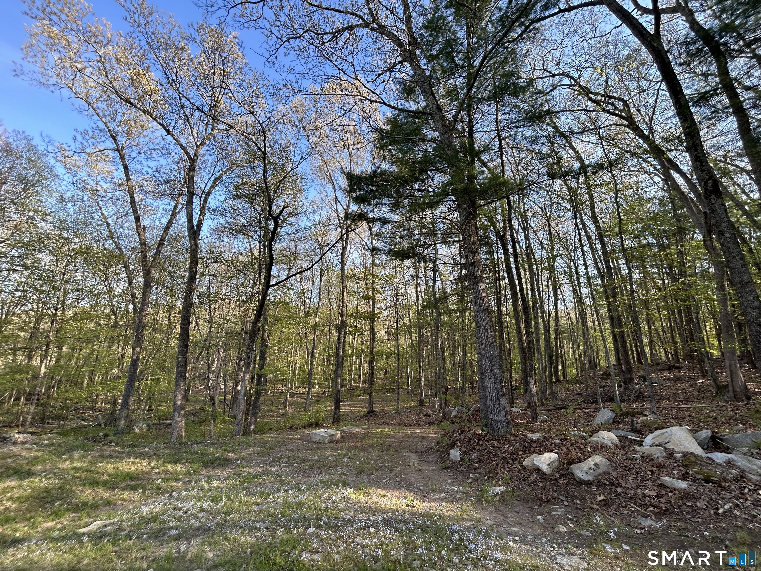 78 Salt Rock, Sprague, 06330, 0 , 0 ,0,Lots And Land For Sale,For Sale,Salt Rock,0,24171156