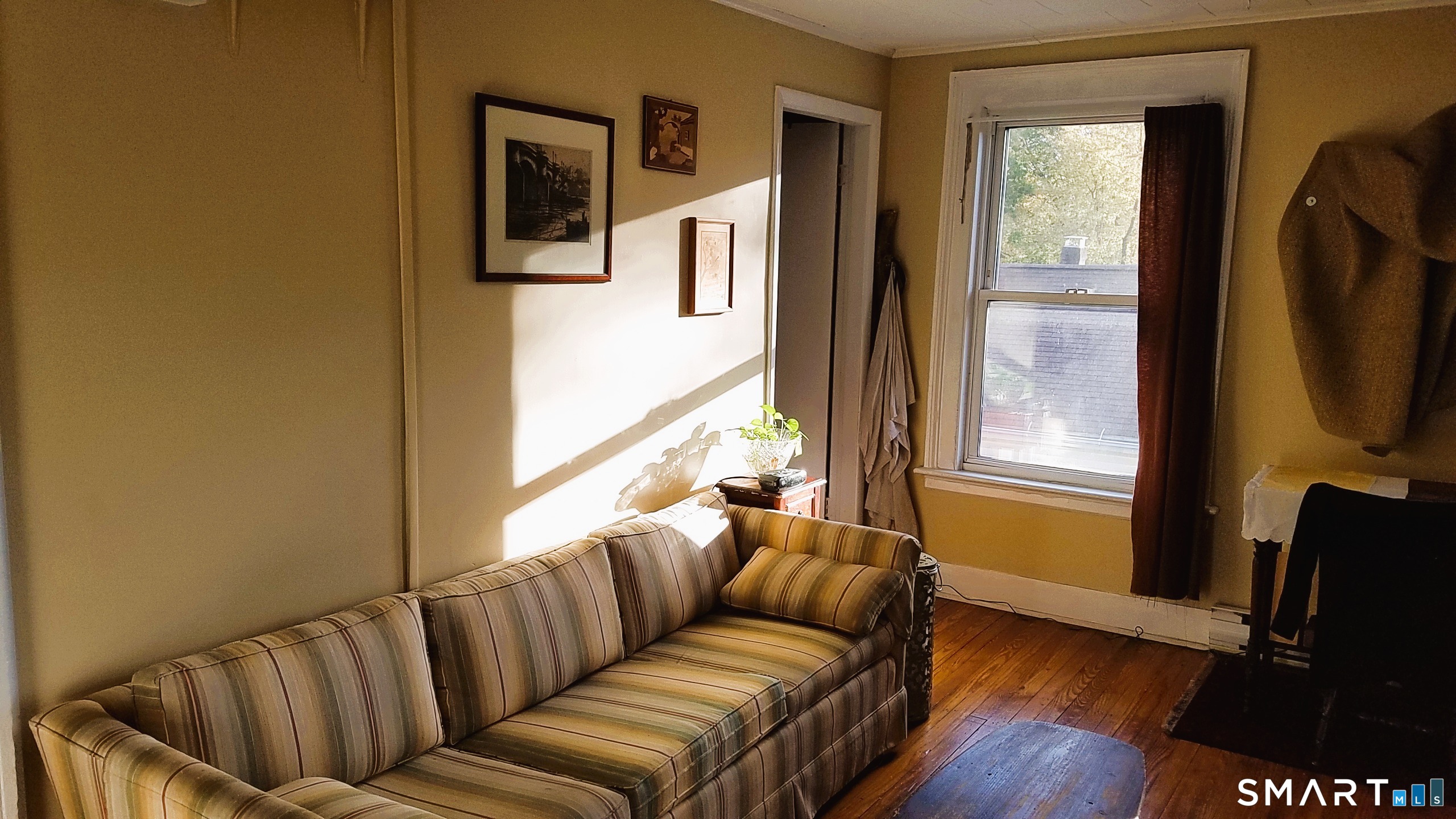 117 Nicoll, New Haven, 06511, 6 Bedrooms Bedrooms, 0 ,4 BathroomsBathrooms,Multi-family For Sale,For Sale,Nicoll,0,24166780