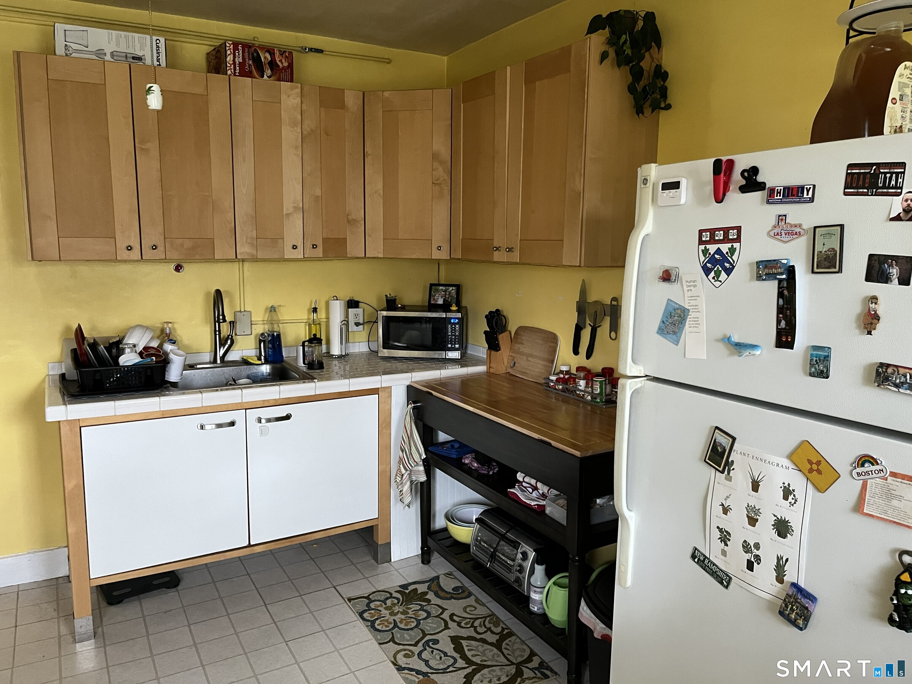 117 Nicoll, New Haven, 06511, 6 Bedrooms Bedrooms, 0 ,4 BathroomsBathrooms,Multi-family For Sale,For Sale,Nicoll,0,24166780