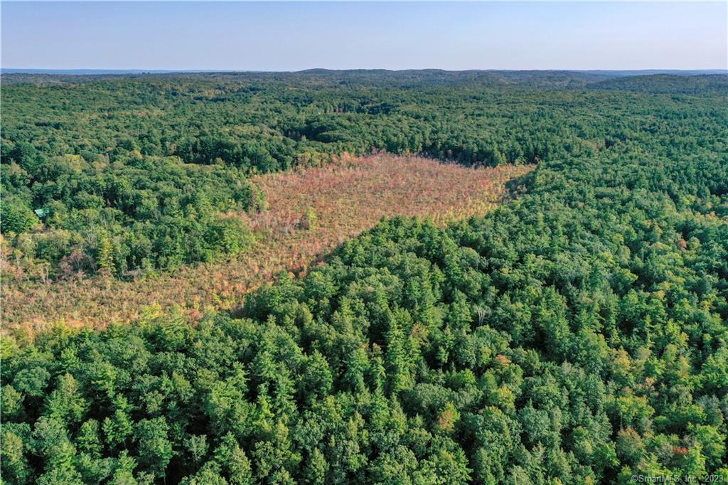 Homes for sale in Woodstock, CT | 00 Ide Perrin Rd, Woodstock, CT 06281 | MLS# 24174800
