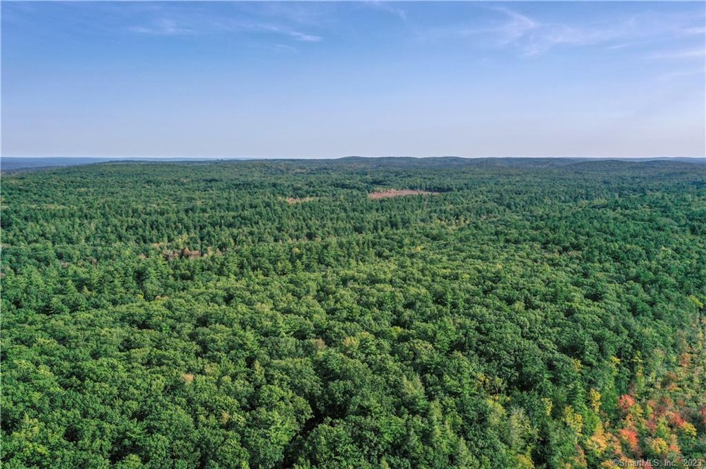 Homes for sale in Woodstock, CT | 00 Ide Perrin Rd, Woodstock, CT 06281 | MLS# 24174800