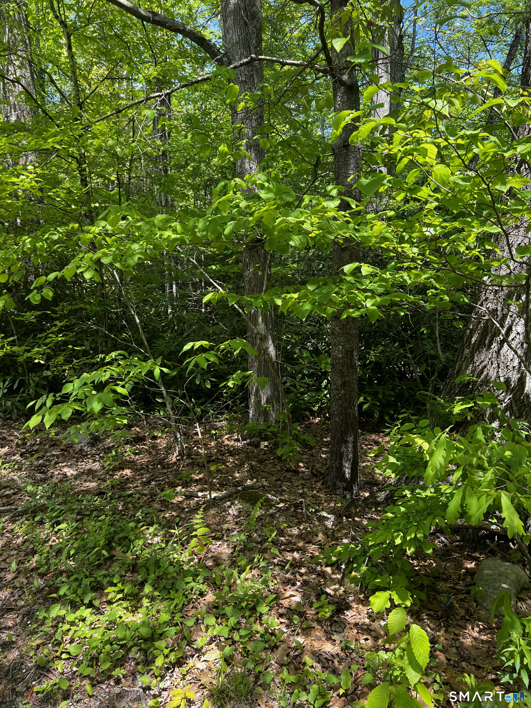 Homes for sale in New Hartford, CT | 131 Stub Hollow Rd, New Hartford, CT 06057 | MLS# 24176660