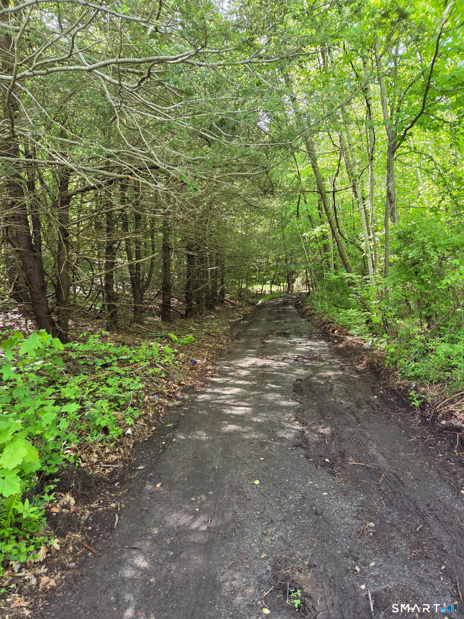 Homes for sale in Harwinton, CT | Davis Rd, Harwinton, CT 06791 | MLS# 24177854