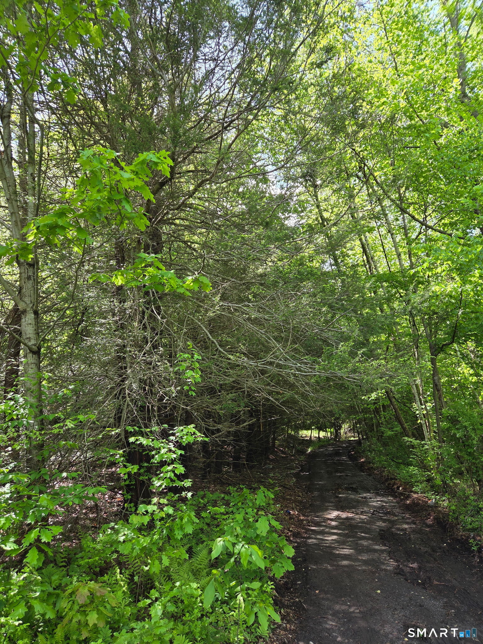 Homes for sale in Harwinton, CT | Davis Rd, Harwinton, CT 06791 | MLS# 24177854