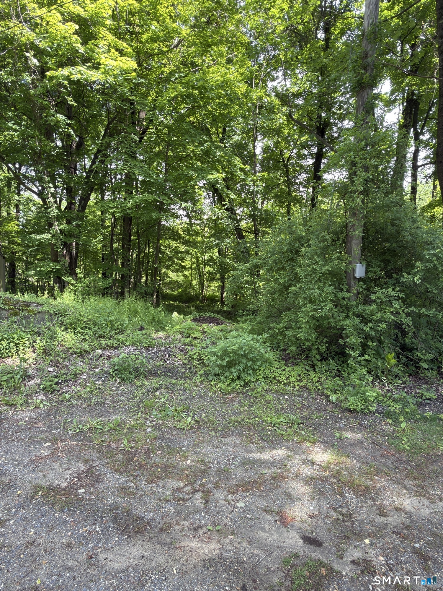 Homes for sale in Winsted, CT | 319 White Oak Trl, Winsted, CT 06098 | MLS# 24177619
