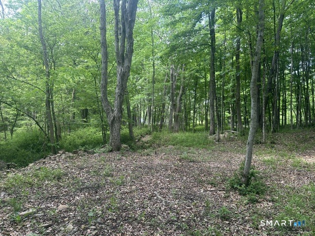 Homes for sale in Eastford, CT | 00 Hartford Turnpike, Eastford, CT 06242 | MLS# 24179483